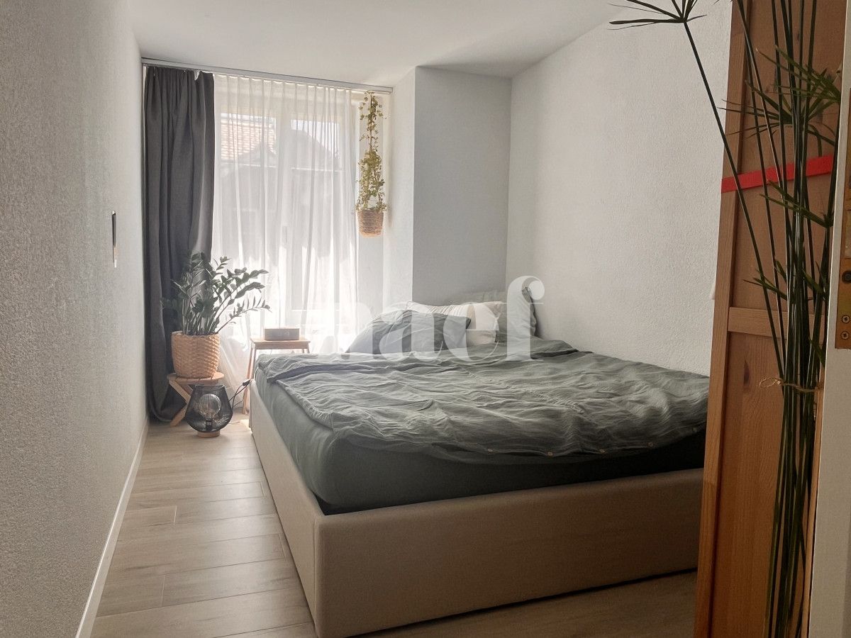 À louer : Appartement 2.5 Pieces Fribourg - Ref : 267017.3001 | Naef Immobilier