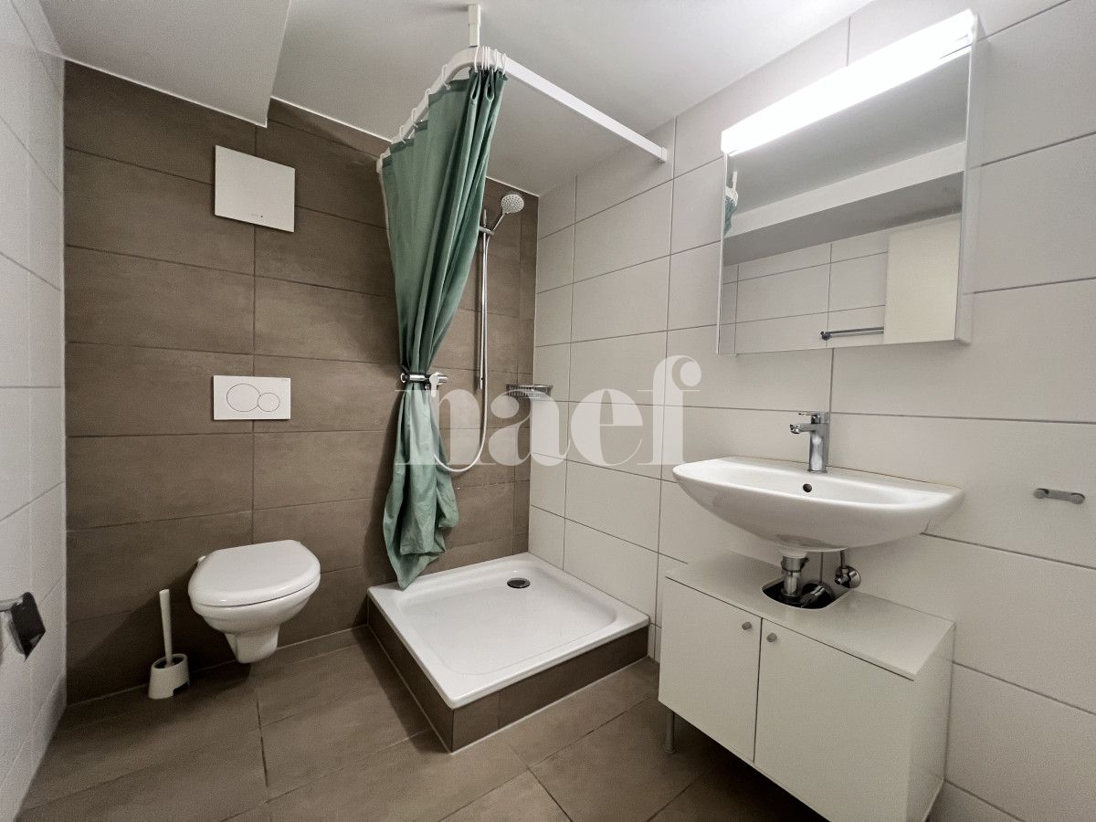 À louer : Appartement 1.5 Pieces Fribourg - Ref : 267021.2002 | Naef Immobilier