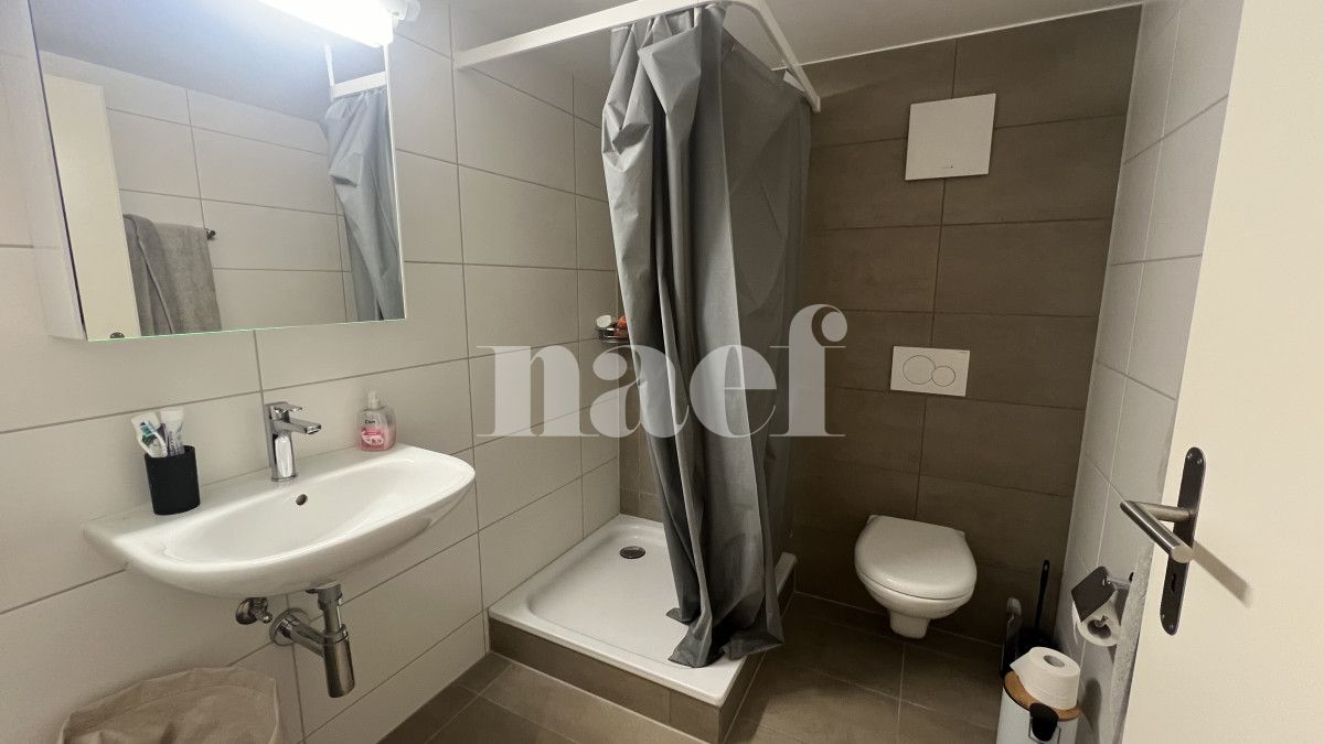 À louer : Appartement 2.5 Pieces Fribourg - Ref : 267021.4002 | Naef Immobilier