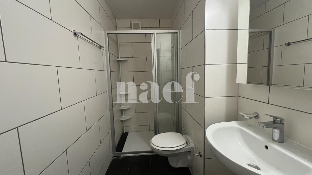 À louer : Appartement 5.5 Pieces Trey - Ref : 267031.5 | Naef Immobilier