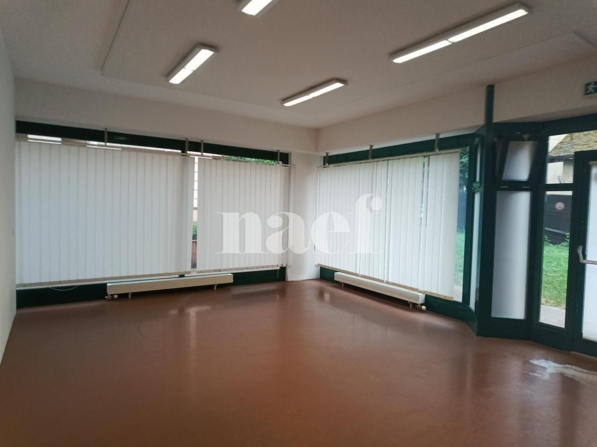 À louer : Surface Commerciale Arcade Genève - Ref : 268501.4 | Naef Immobilier