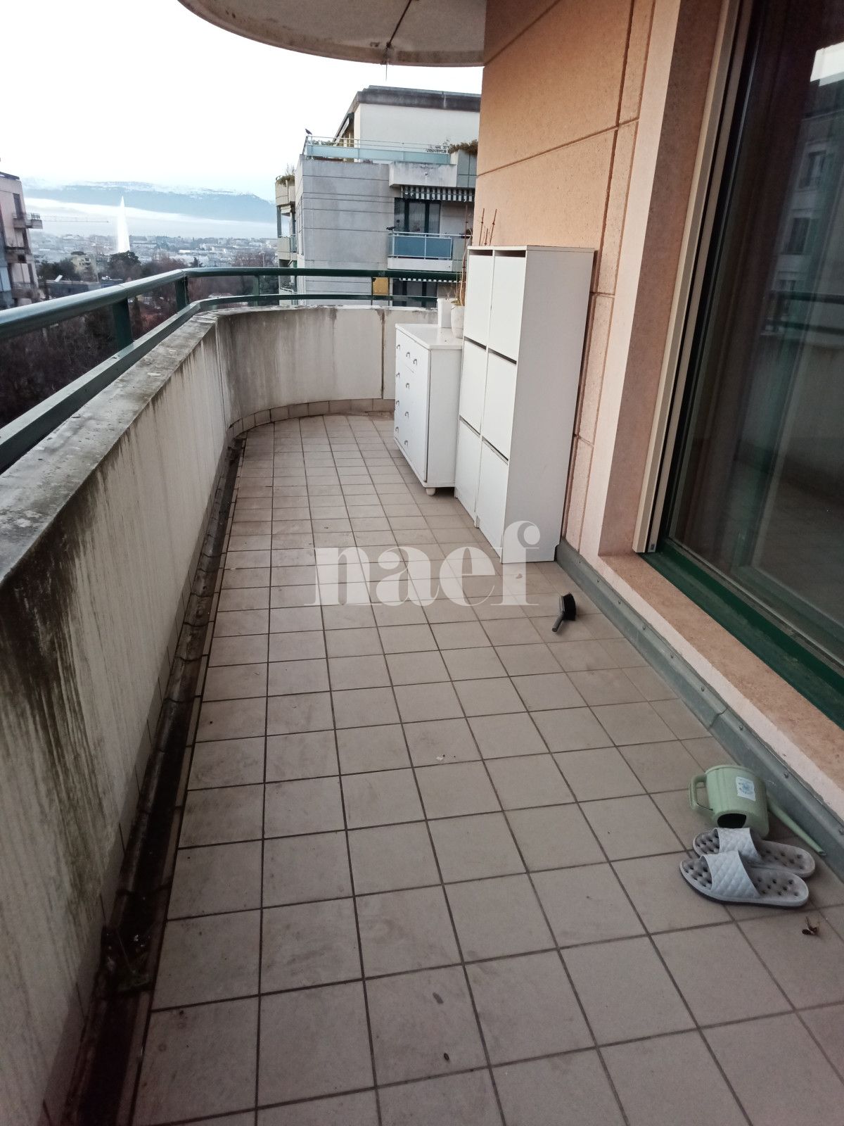 À louer : Appartement 6 Pieces Genève - Ref : 268505.3002 | Naef Immobilier