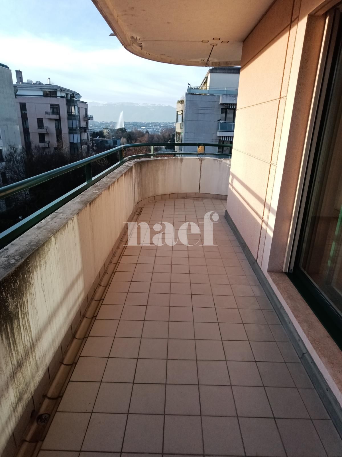 À louer : Appartement 6 Pieces Genève - Ref : 268505.3002 | Naef Immobilier