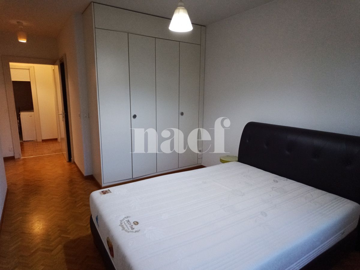 À louer : Appartement 6 Pieces Genève - Ref : 268505.3002 | Naef Immobilier