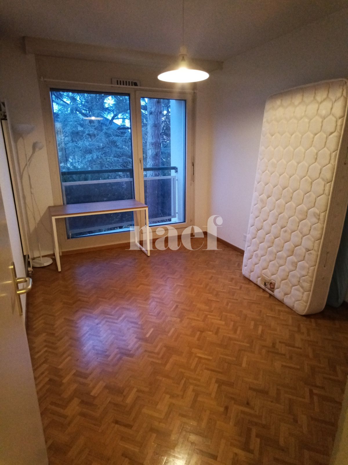 À louer : Appartement 6 Pieces Genève - Ref : 268505.3002 | Naef Immobilier