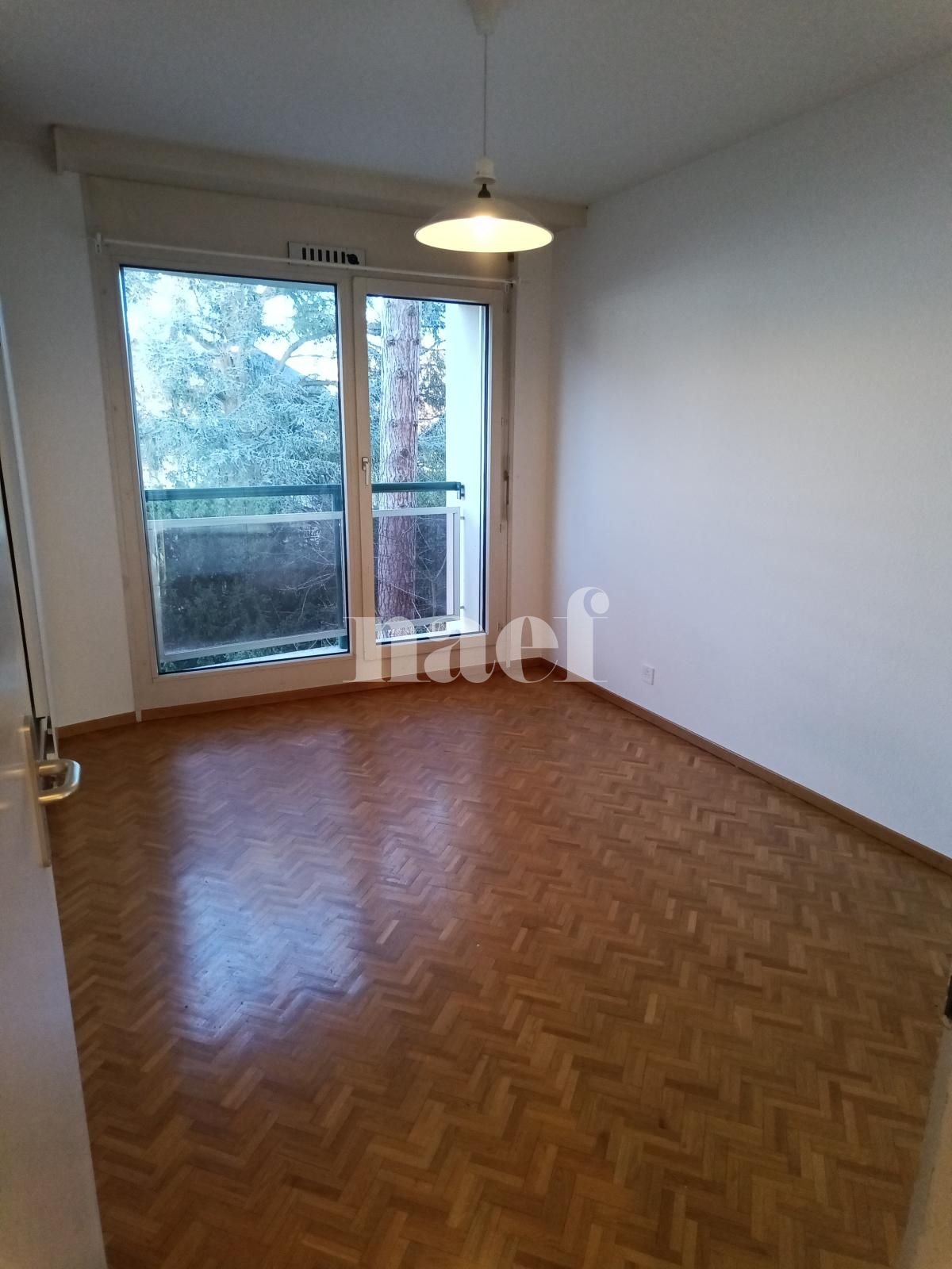 À louer : Appartement 6 Pieces Genève - Ref : 268505.3002 | Naef Immobilier