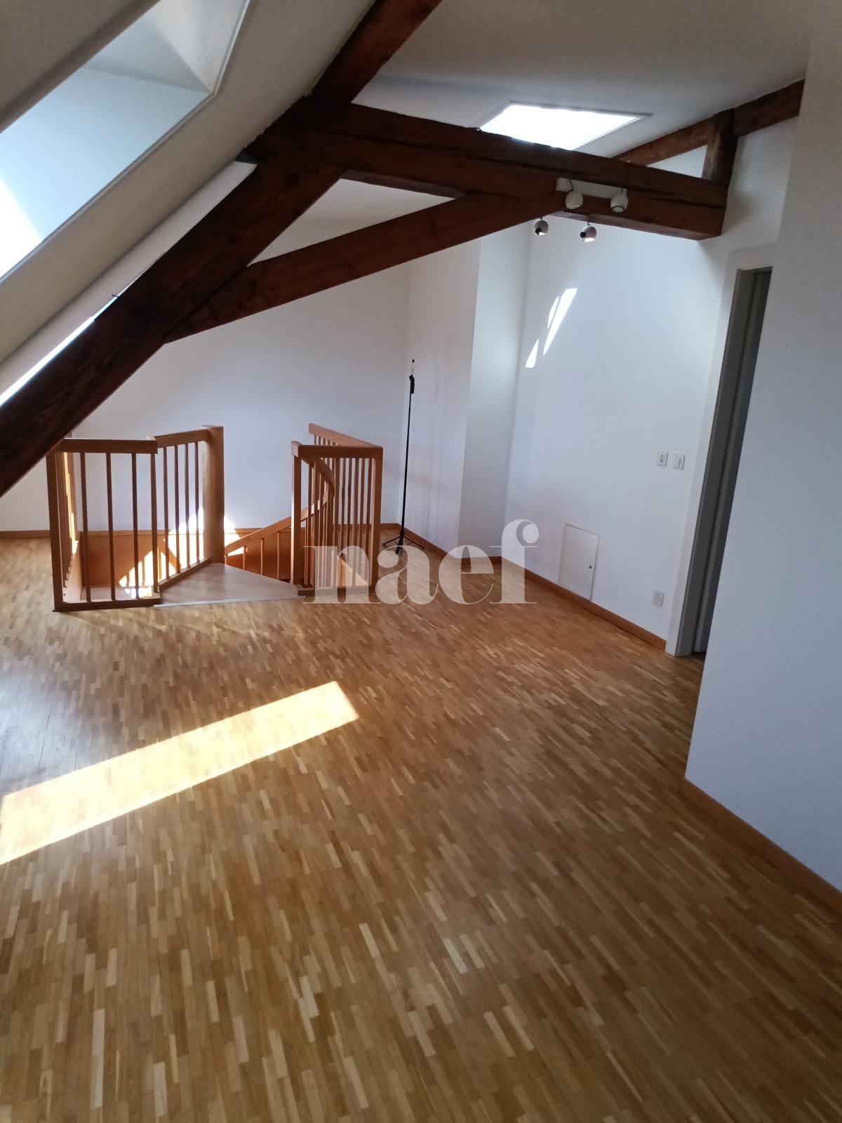 À louer : Appartement 5 Pieces Genève - Ref : 268523.6602 | Naef Immobilier