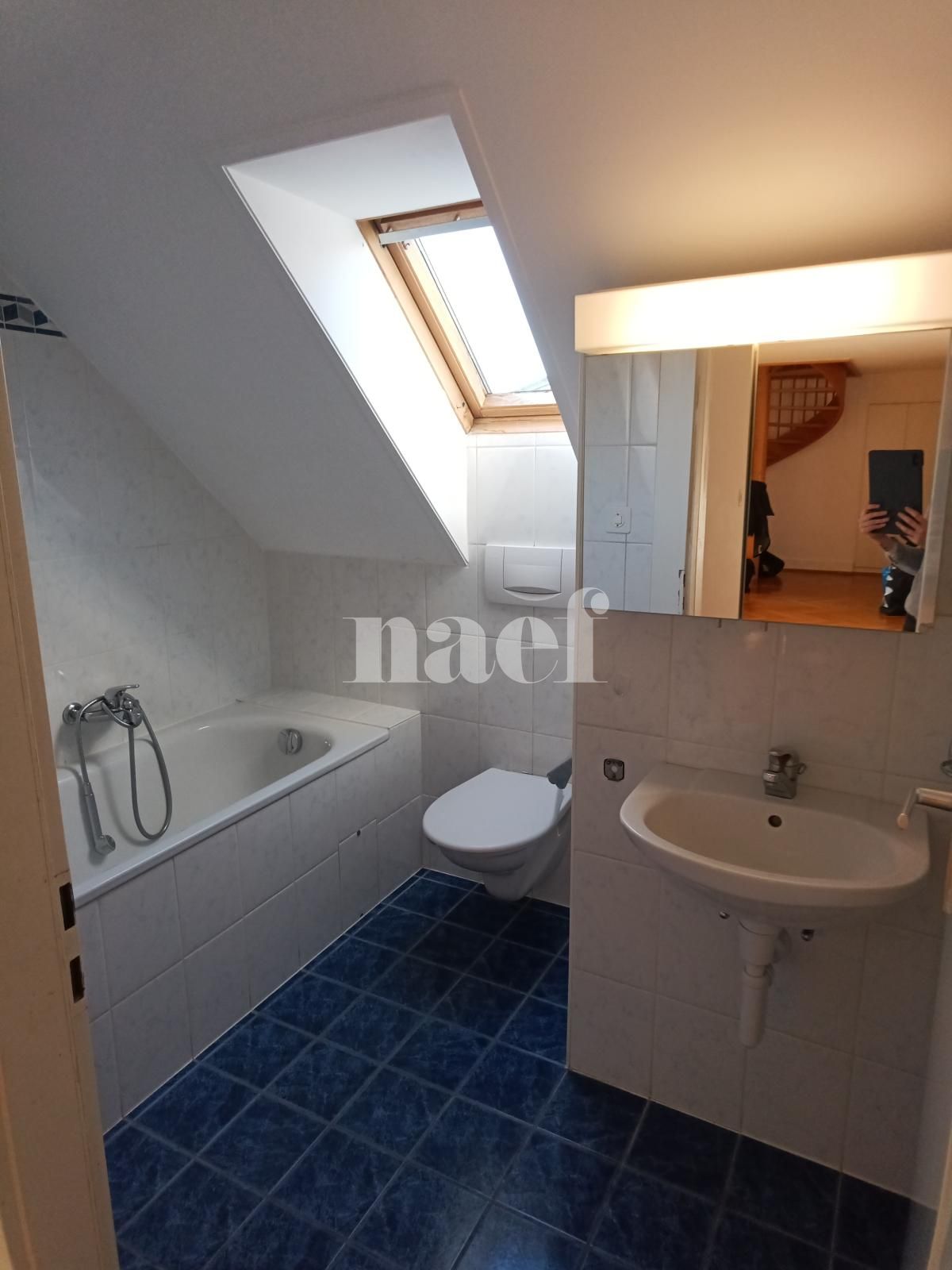 À louer : Appartement 5 Pieces Genève - Ref : 268523.6604 | Naef Immobilier