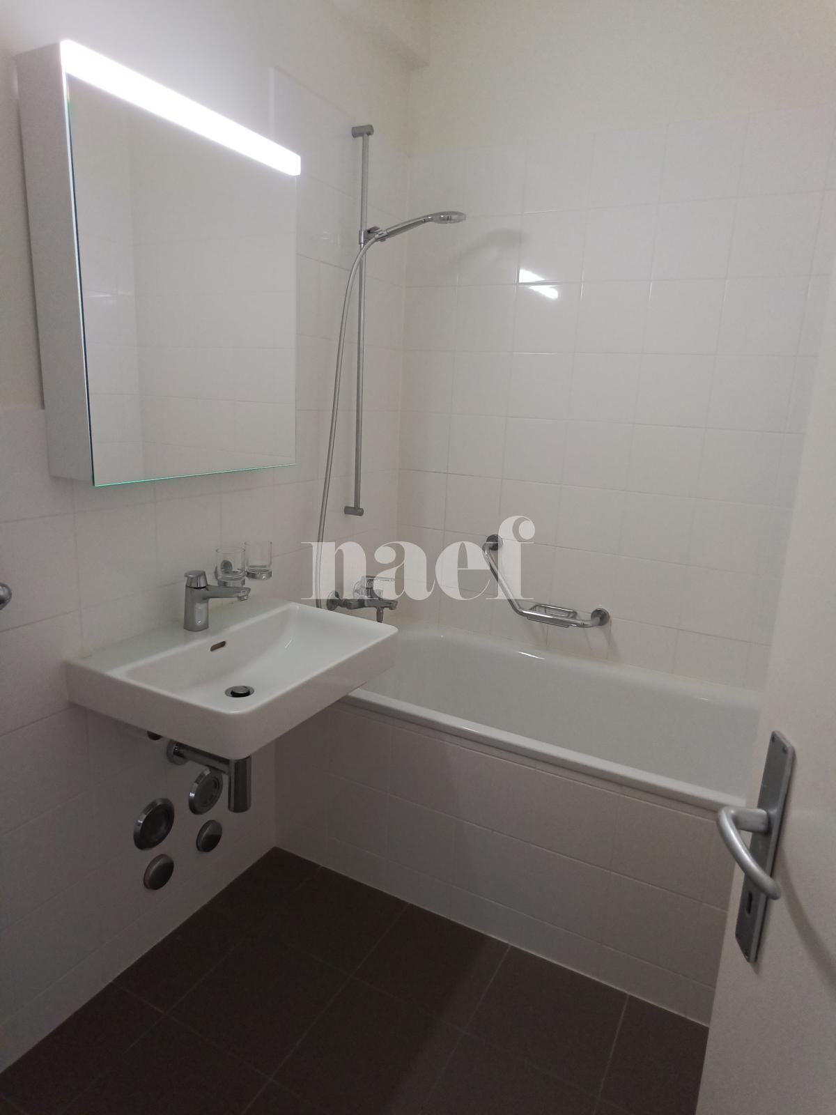 À louer : Appartement 3 Pieces Genève - Ref : 268526.3301 | Naef Immobilier