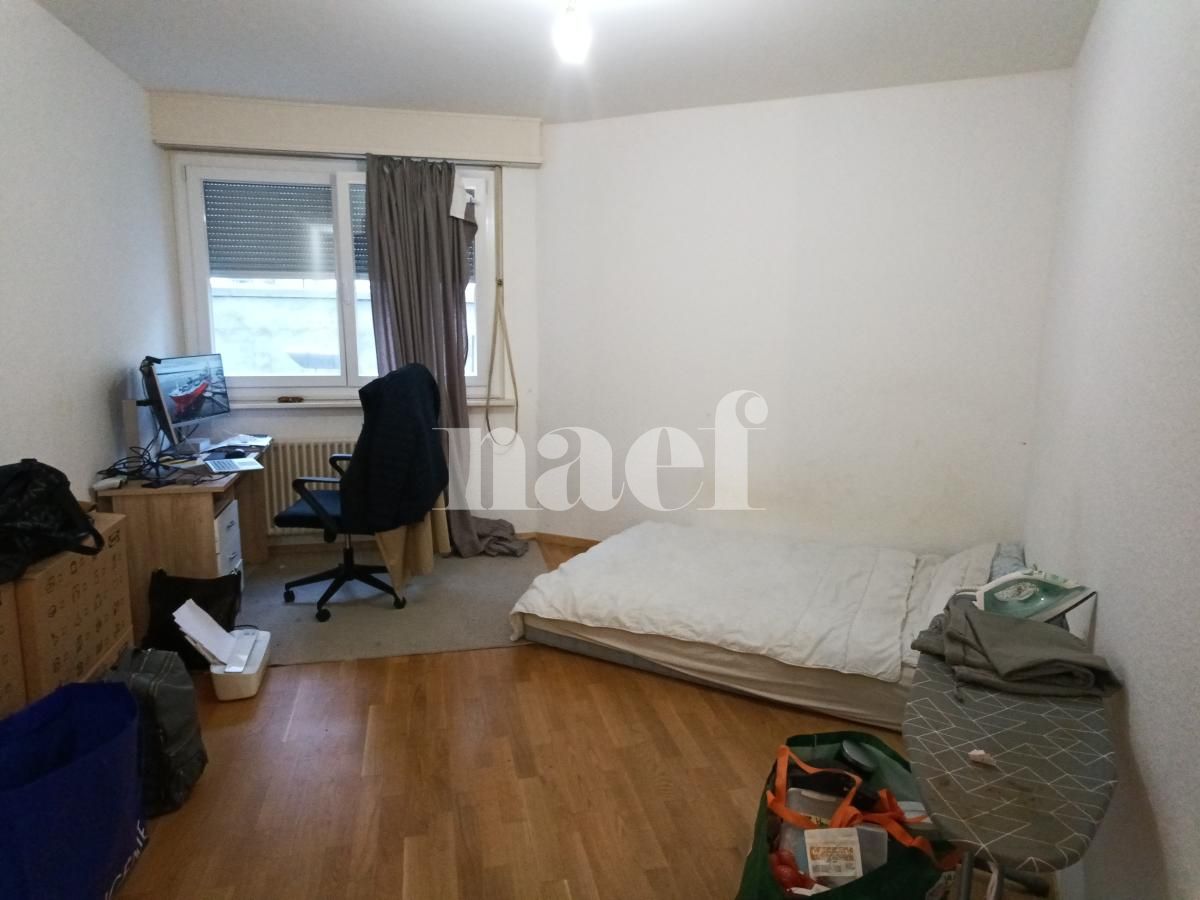 À louer : Appartement 1 Pieces Genève - Ref : 268546.1109 | Naef Immobilier