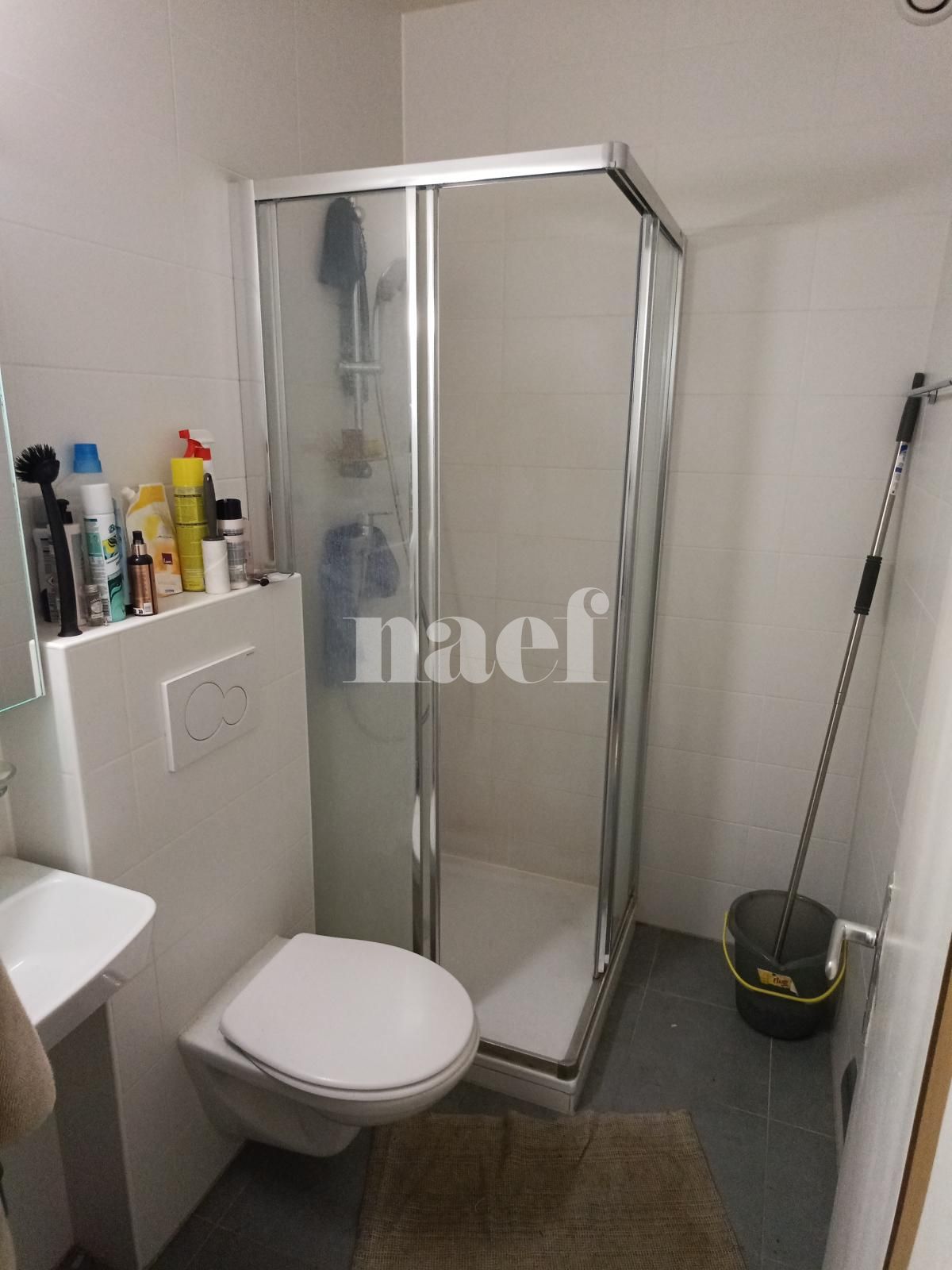 À louer : Appartement 1 Pieces Genève - Ref : 268546.1109 | Naef Immobilier