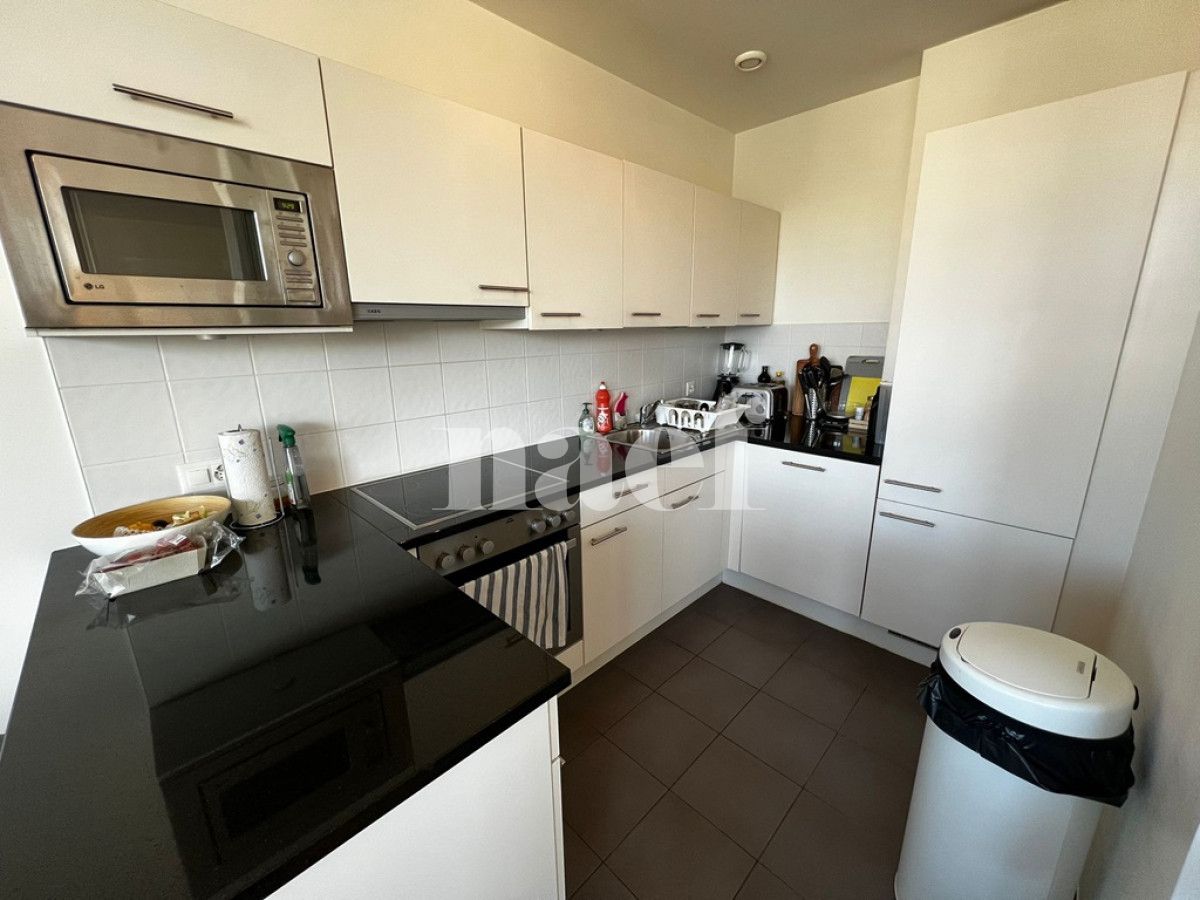 À louer : Appartement 4.5 Pieces Genève - Ref : 268546.7152 | Naef Immobilier