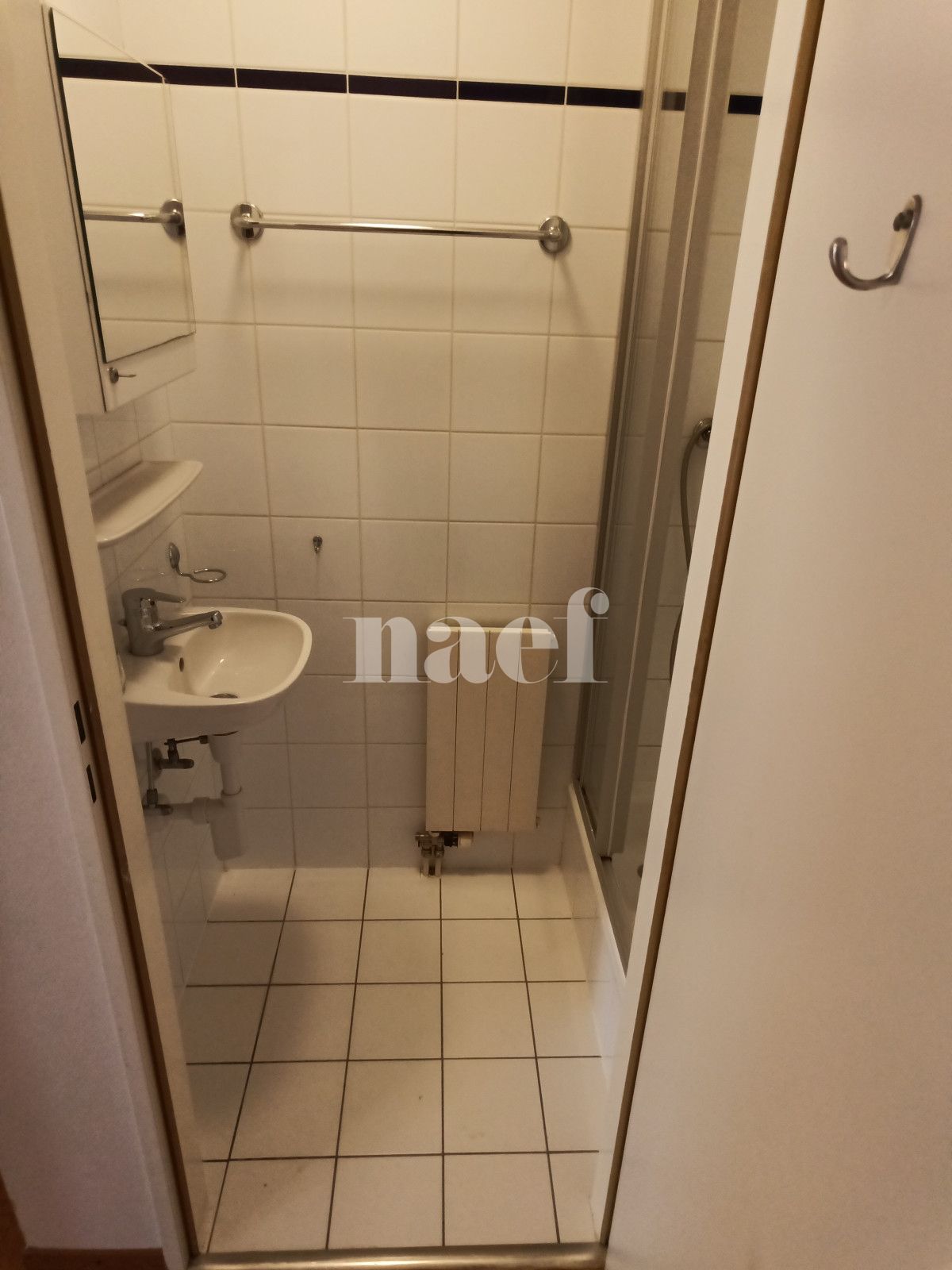 À louer : Appartement 5 Pieces Genève - Ref : 268550.1102 | Naef Immobilier