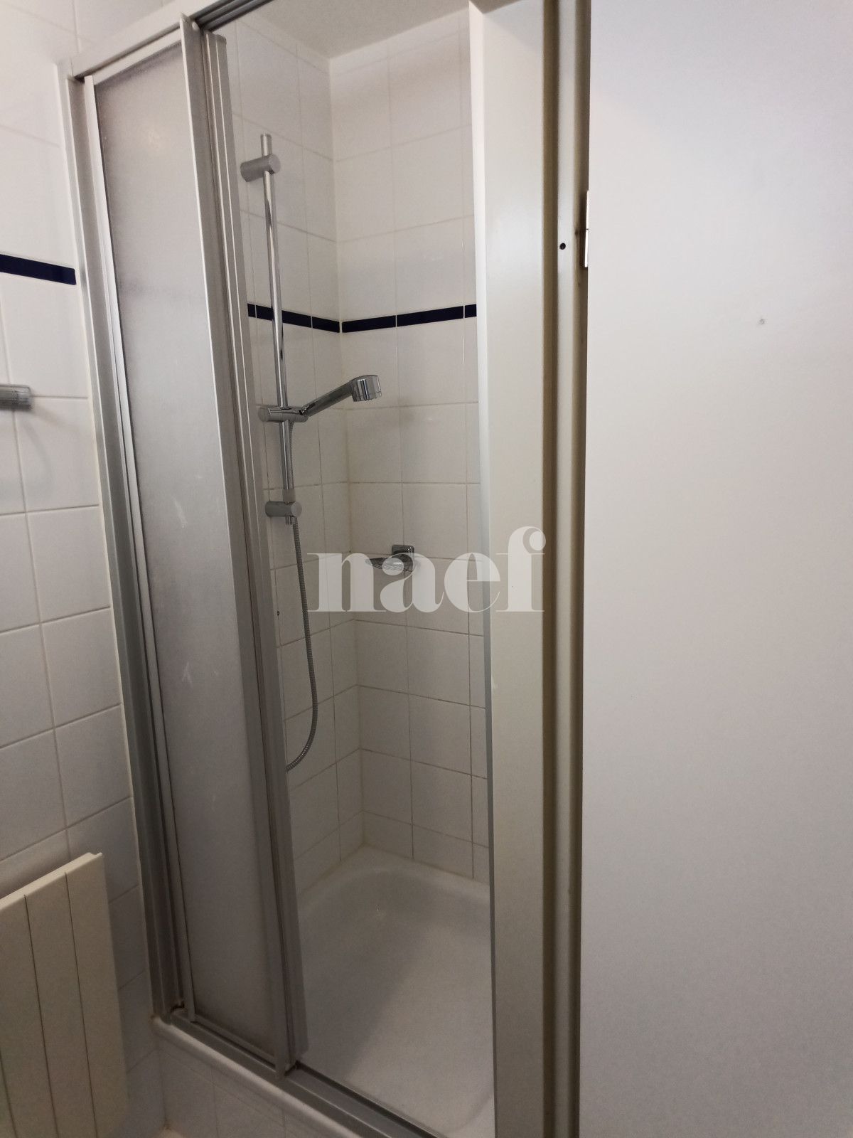 À louer : Appartement 5 Pieces Genève - Ref : 268550.4402 | Naef Immobilier