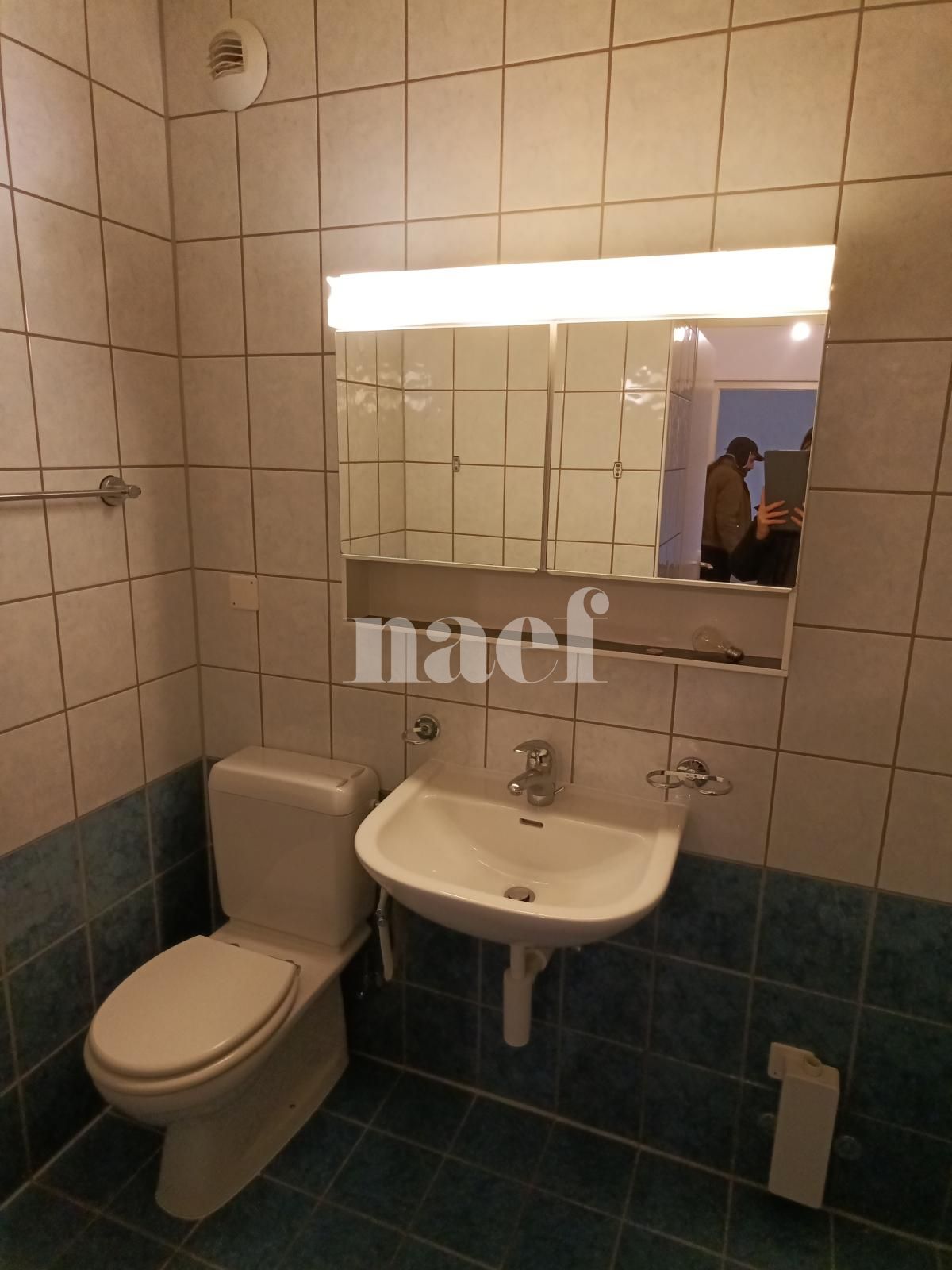 À louer : Appartement 3 Pieces Versoix - Ref : 268555.3003 | Naef Immobilier