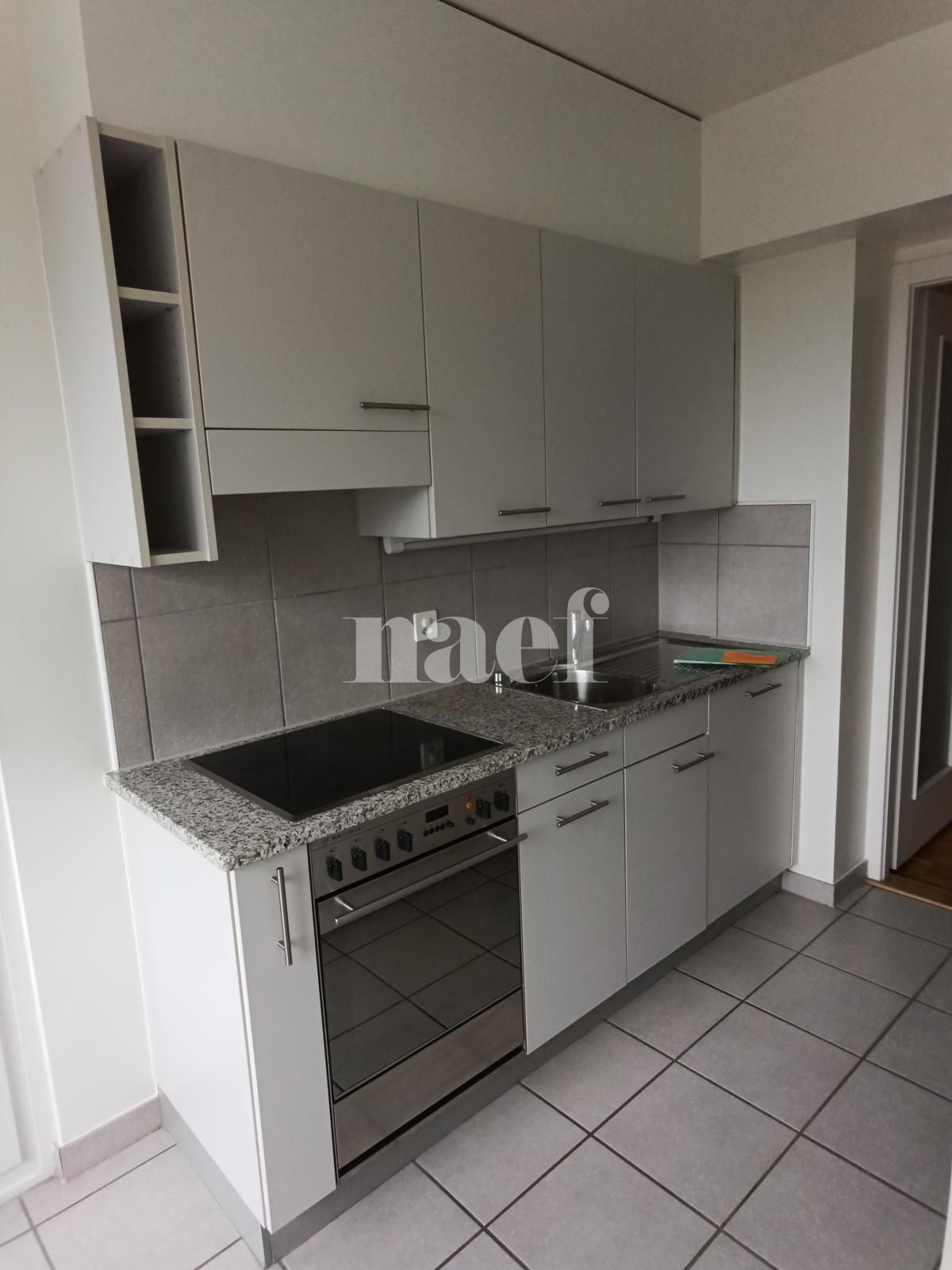 À louer : Appartement 3 Pieces Versoix - Ref : 268555.6003 | Naef Immobilier
