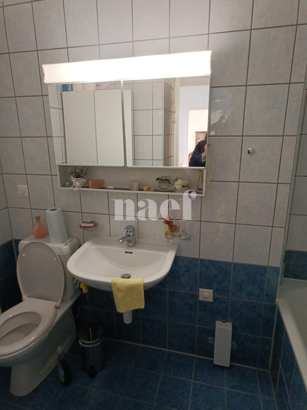 À louer : Appartement 3 Pieces Versoix - Ref : 268555.6003 | Naef Immobilier