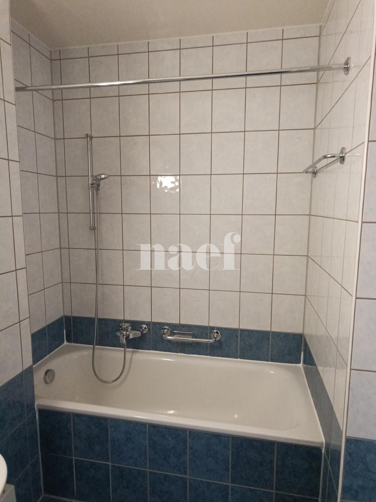 À louer : Appartement 3 Pieces Versoix - Ref : 268555.6003 | Naef Immobilier