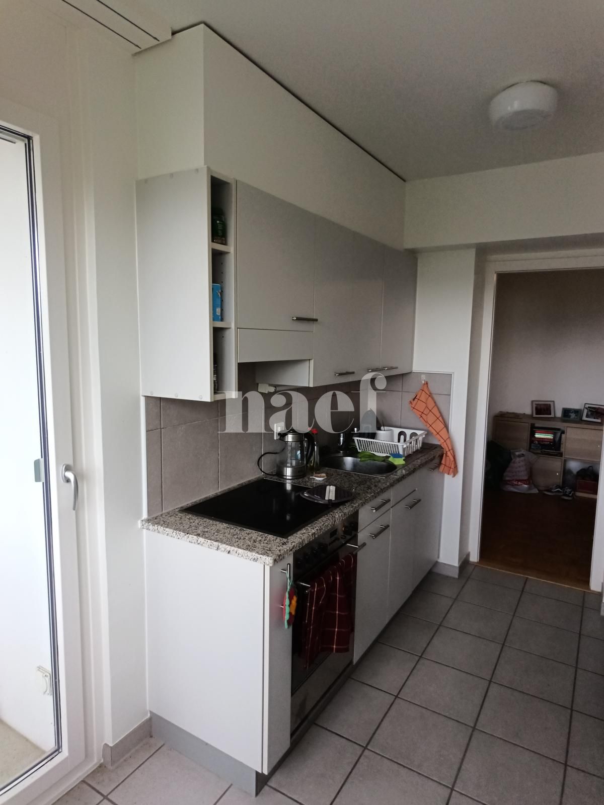 À louer : Appartement 3 Pieces Versoix - Ref : 268555.7003 | Naef Immobilier