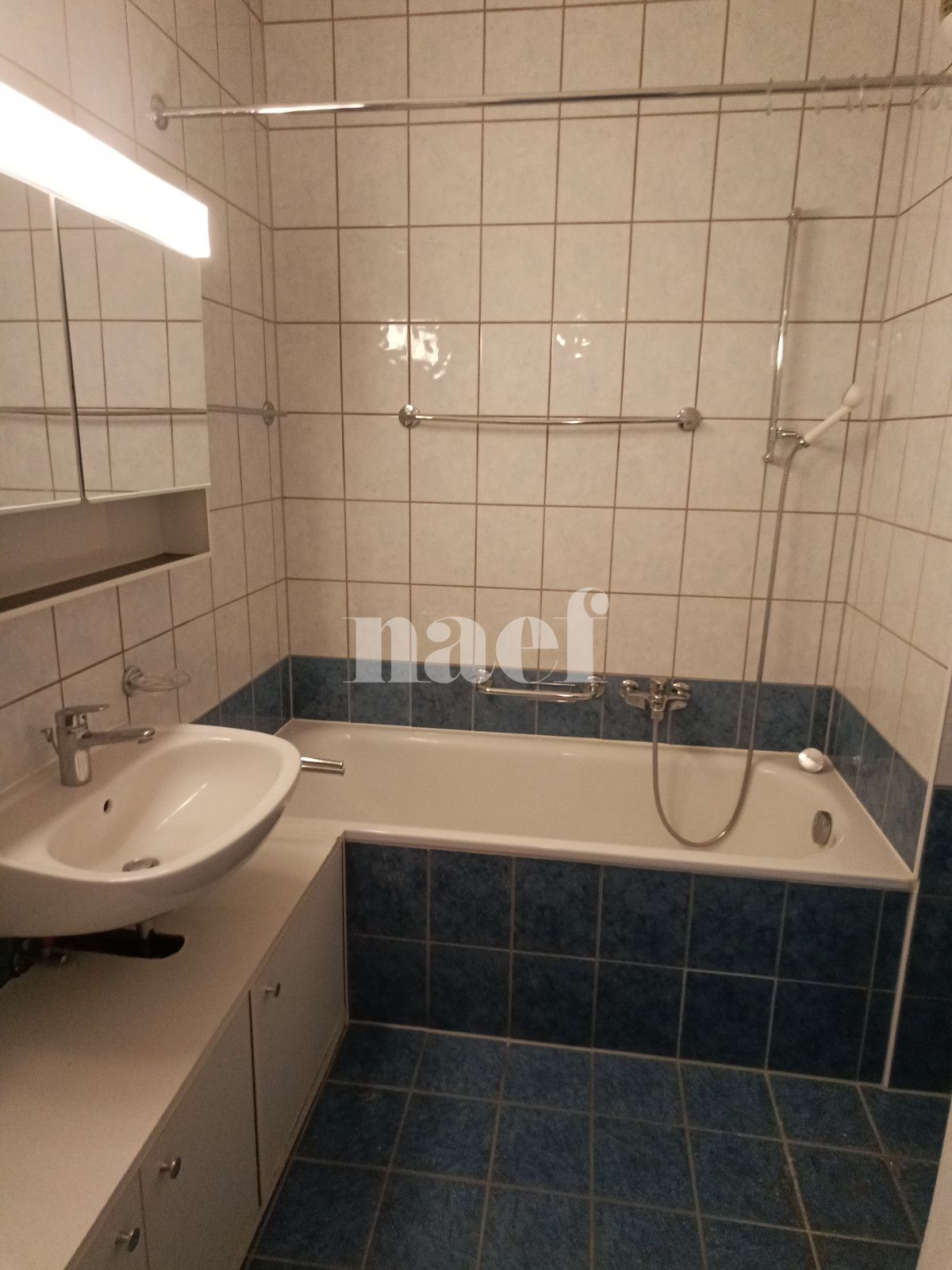 À louer : Appartement 4 Pieces Versoix - Ref : 268560.5001 | Naef Immobilier