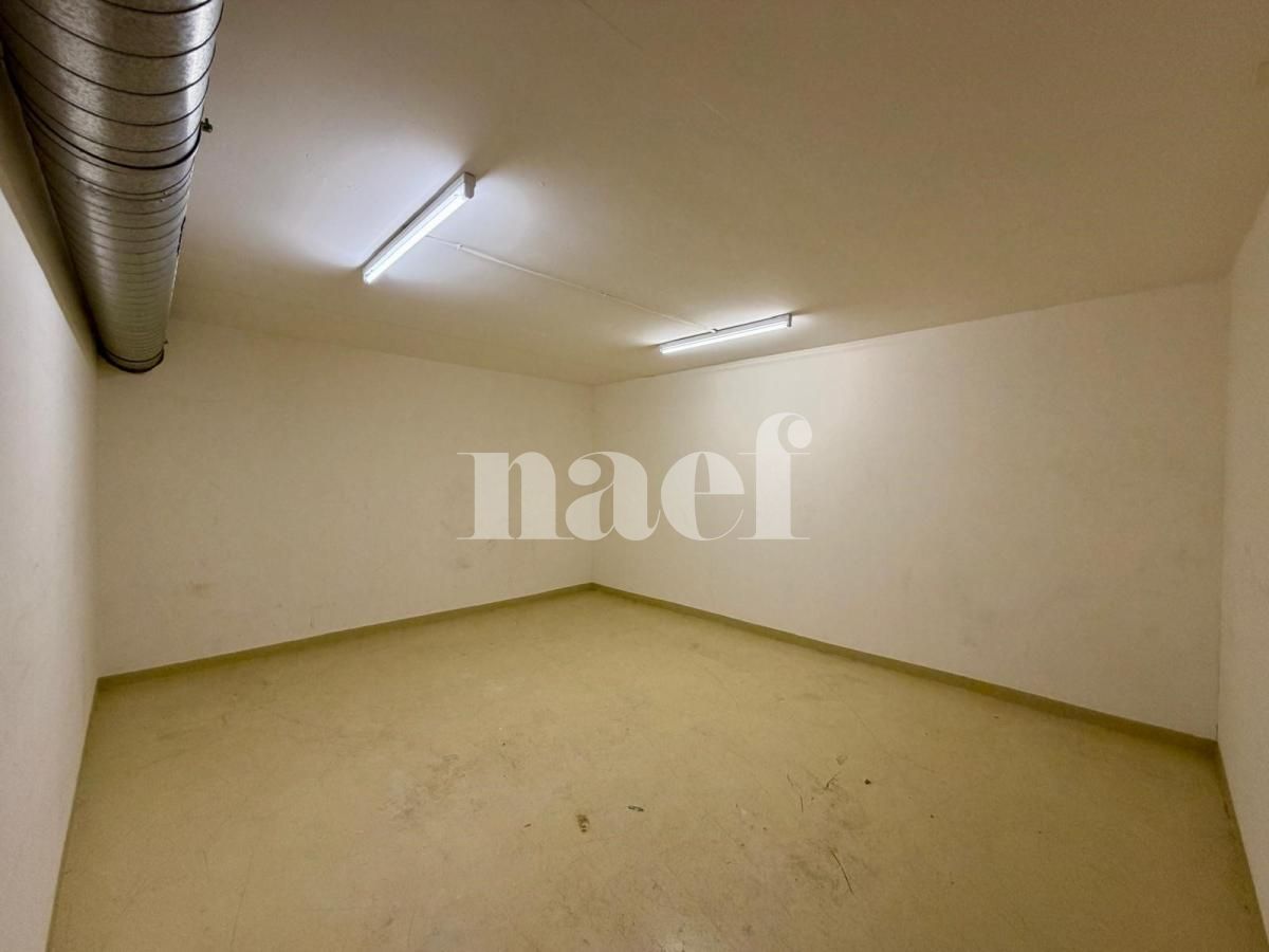 À louer : Surface Commerciale Atelier Genève - Ref : 268570.62003 | Naef Immobilier