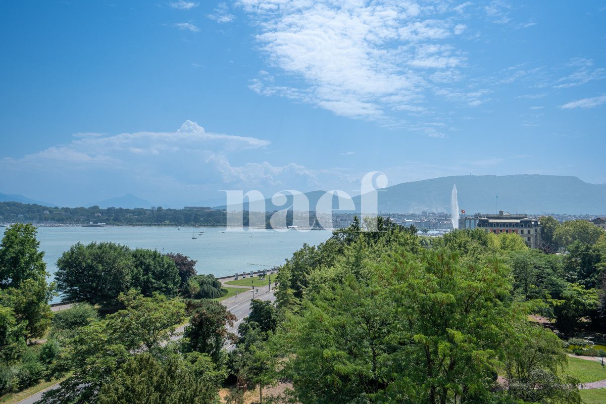 À louer : Appartement 9 Pieces Genève - Ref : 268575.5051 | Naef Immobilier