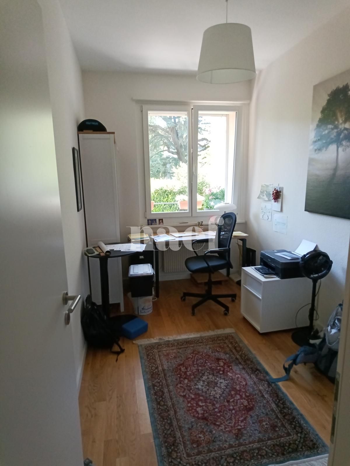 À louer : Appartement 4.5 Pieces Genève - Ref : 268576.1013 | Naef Immobilier