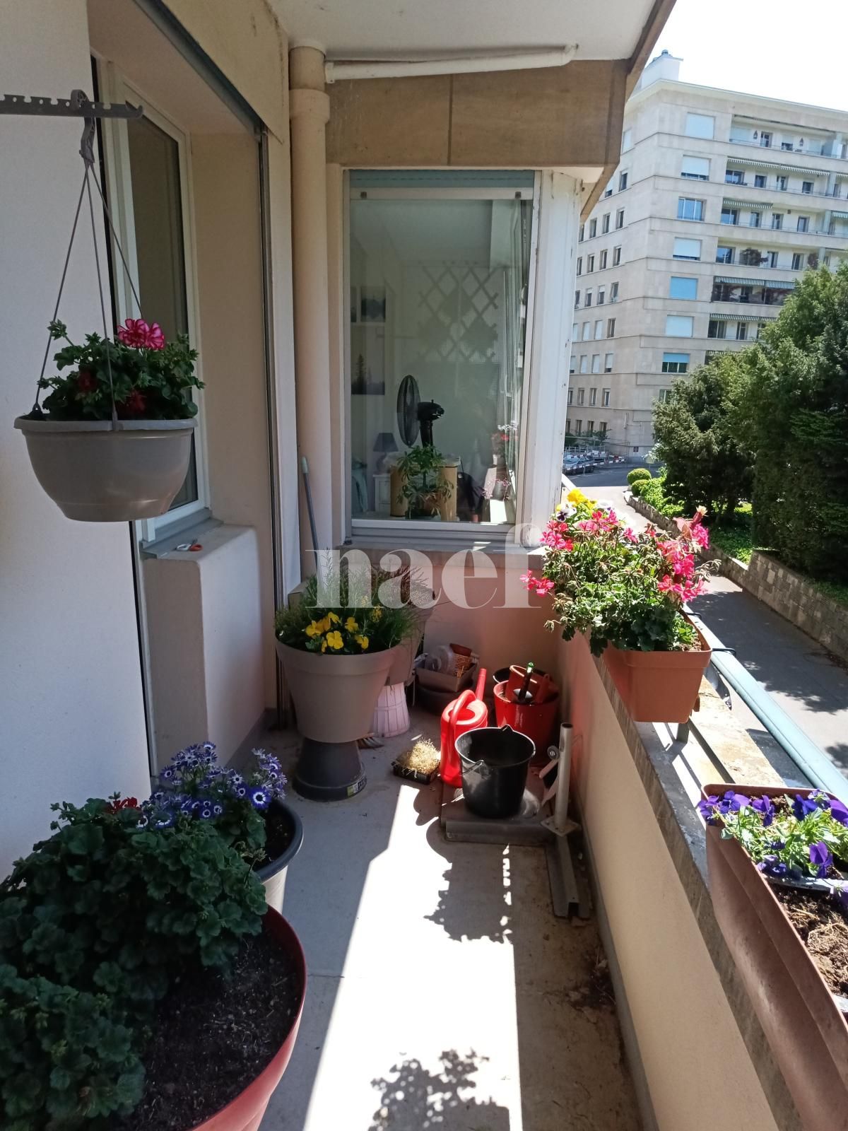 À louer : Appartement 4.5 Pieces Genève - Ref : 268576.1013 | Naef Immobilier