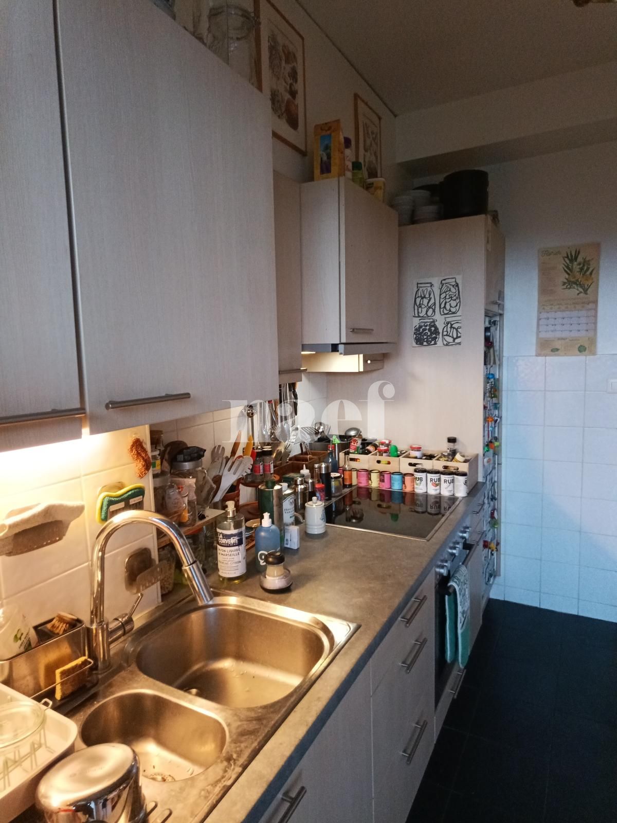 À louer : Appartement 5.5 Pieces Genève - Ref : 268576.6061 | Naef Immobilier