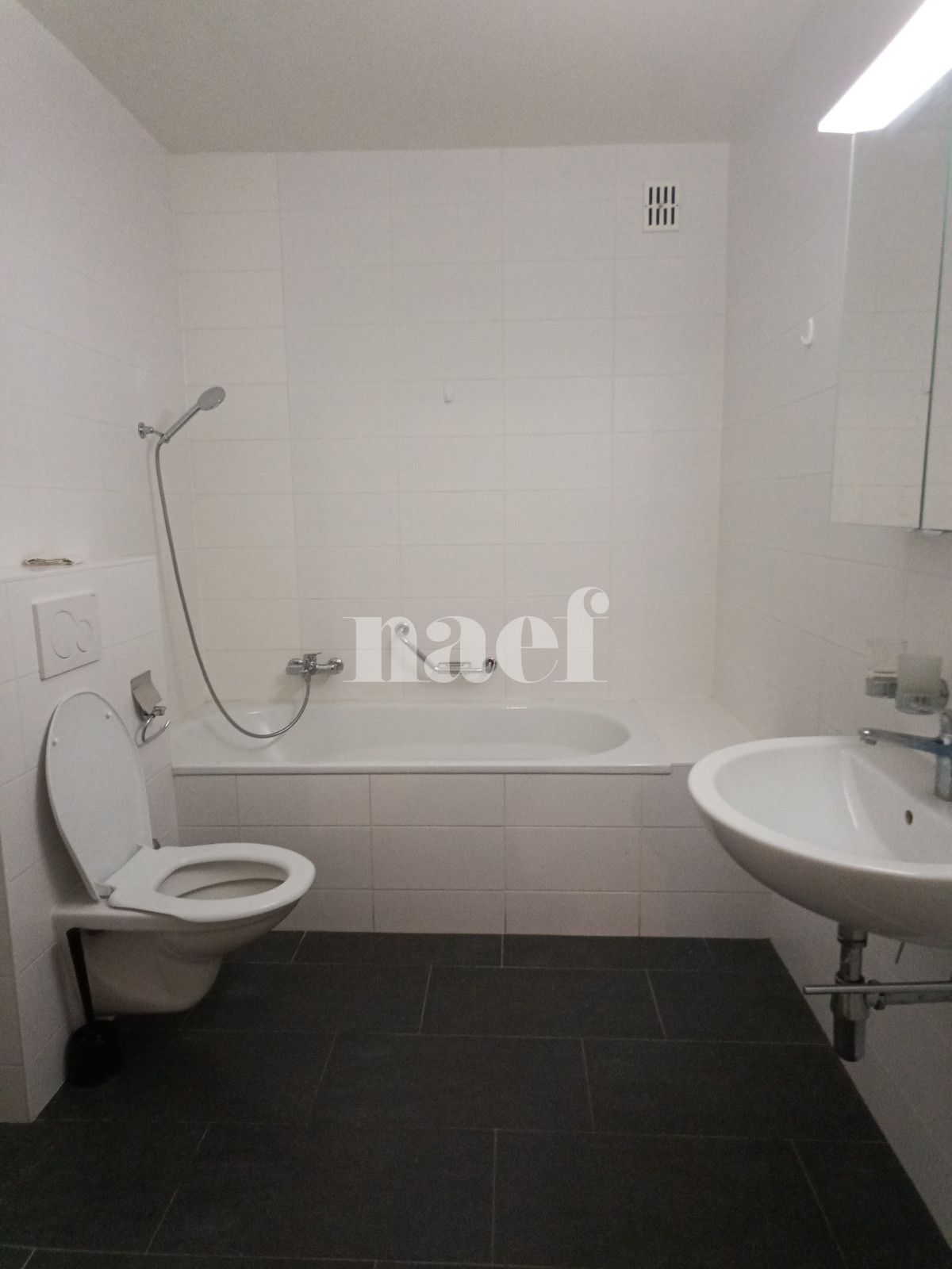 À louer : Appartement 5.5 Pieces Genève - Ref : 268578.7072 | Naef Immobilier