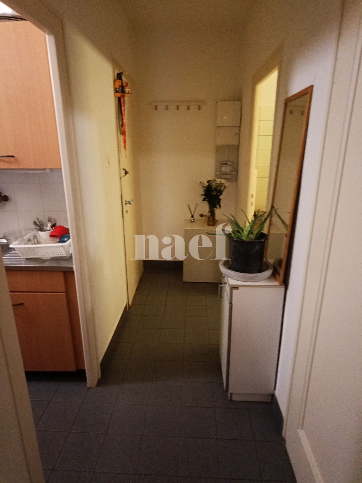 À louer : Appartement 1 Pieces Genève - Ref : 268585.2022 | Naef Immobilier