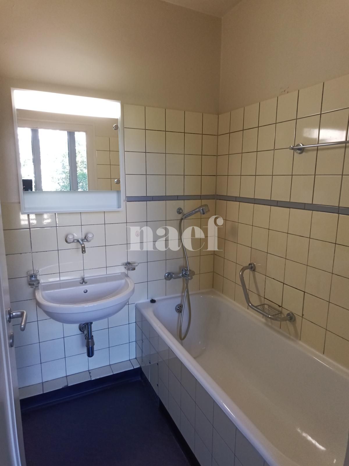 À louer : Appartement 2 Pieces Genève - Ref : 268586.1001 | Naef Immobilier