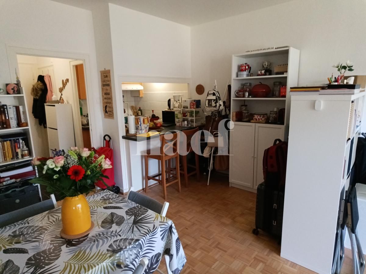 À louer : Appartement 1 Pieces Genève - Ref : 268586.2009 | Naef Immobilier