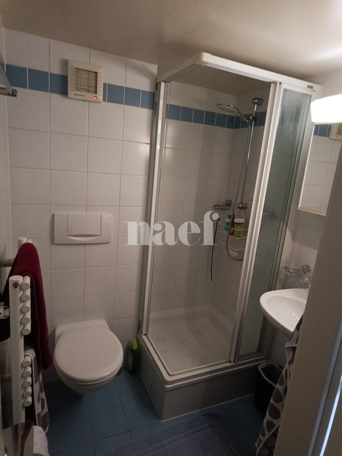 À louer : Appartement 4.5 Pieces Genève - Ref : 268586.8004 | Naef Immobilier