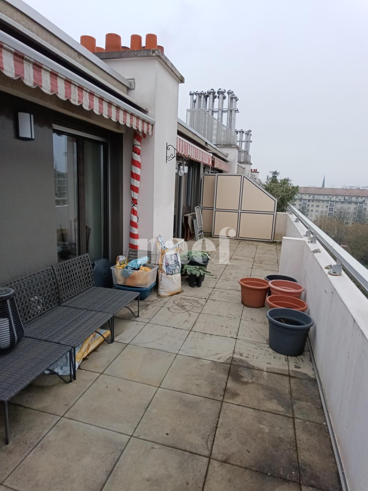 À louer : Appartement 4.5 Pieces Genève - Ref : 268586.8004 | Naef Immobilier