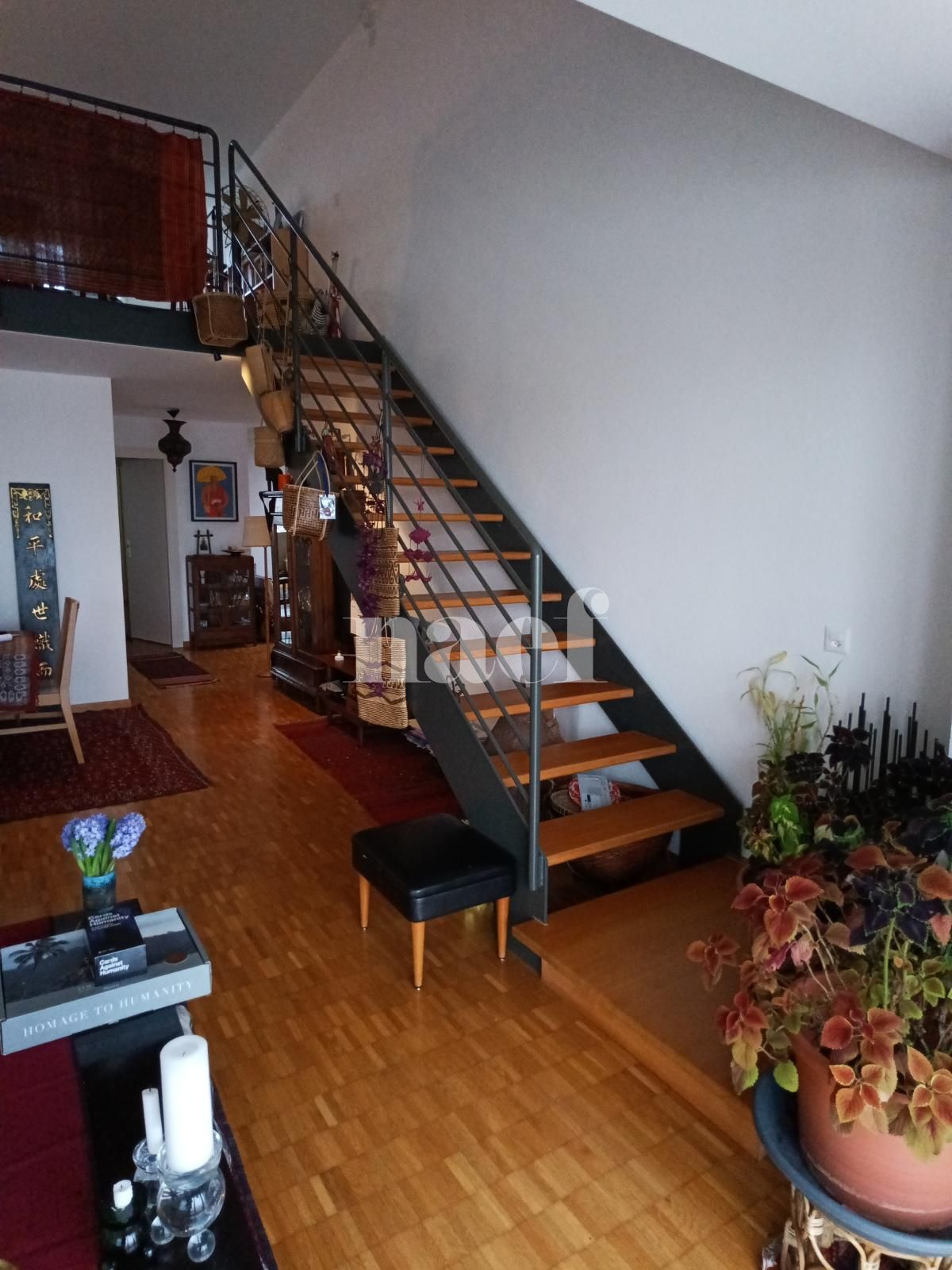 À louer : Appartement 4.5 Pieces Genève - Ref : 268586.8004 | Naef Immobilier