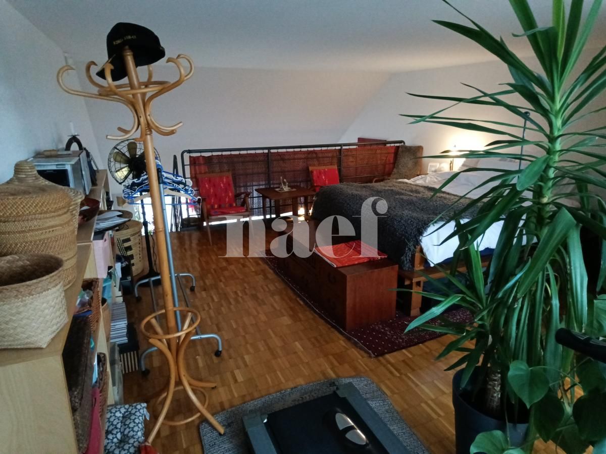 À louer : Appartement 4.5 Pieces Genève - Ref : 268586.8004 | Naef Immobilier