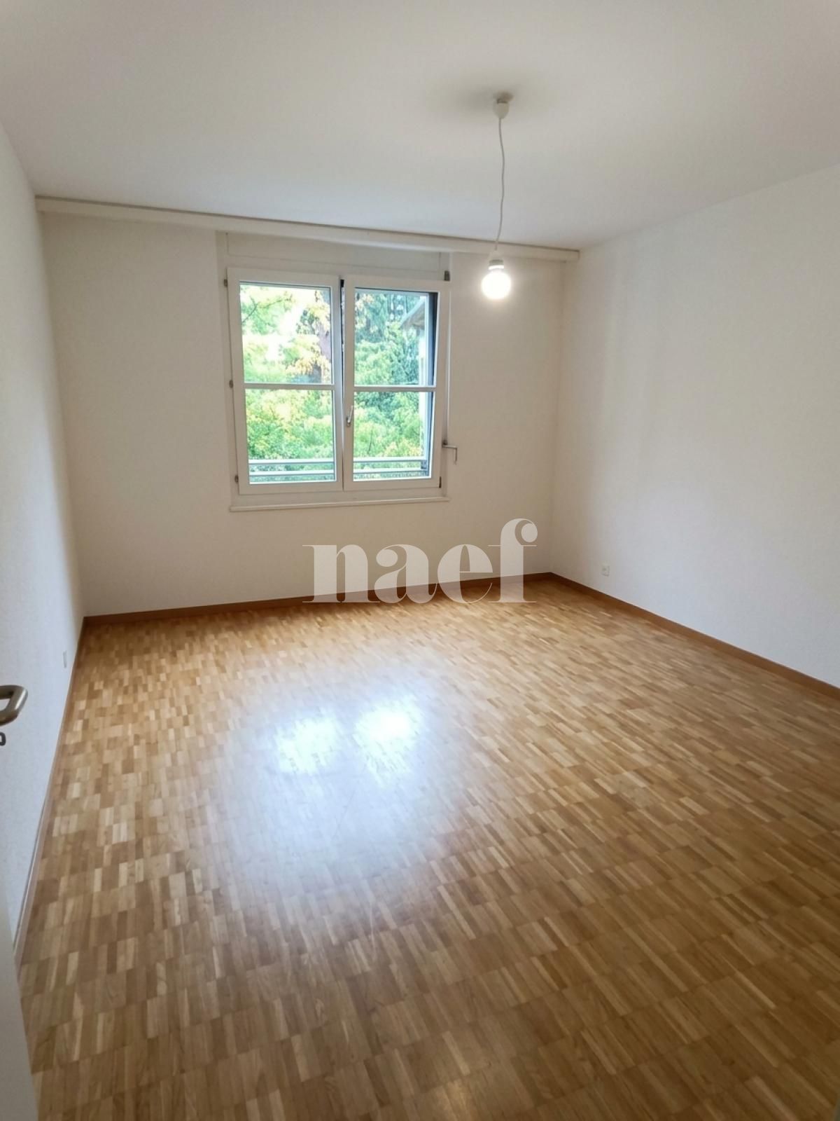 À louer : Appartement 4 Pieces Genève - Ref : 268595.2021 | Naef Immobilier