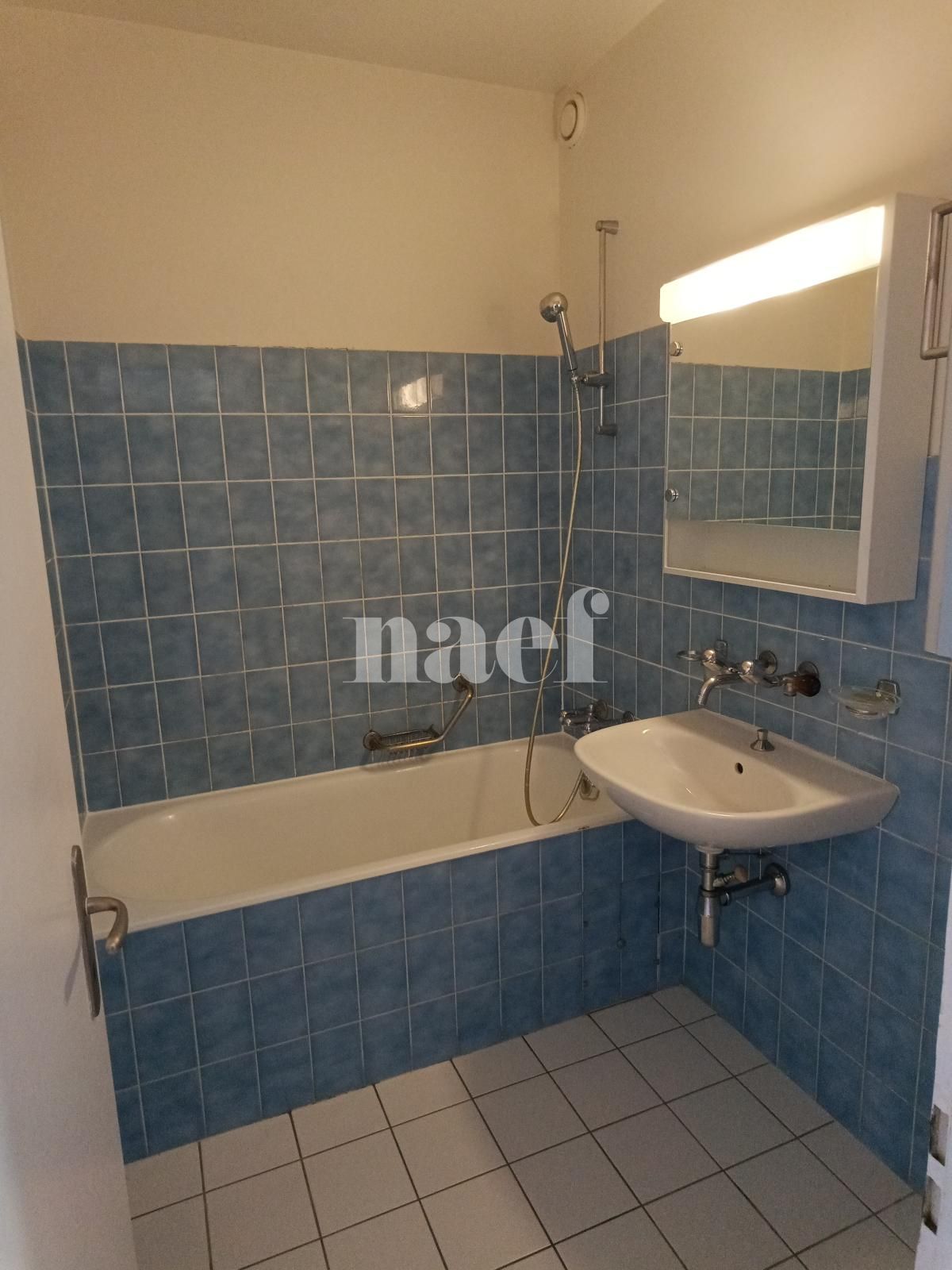 À louer : Appartement 4.5 Pieces Meyrin - Ref : 268600.2003 | Naef Immobilier