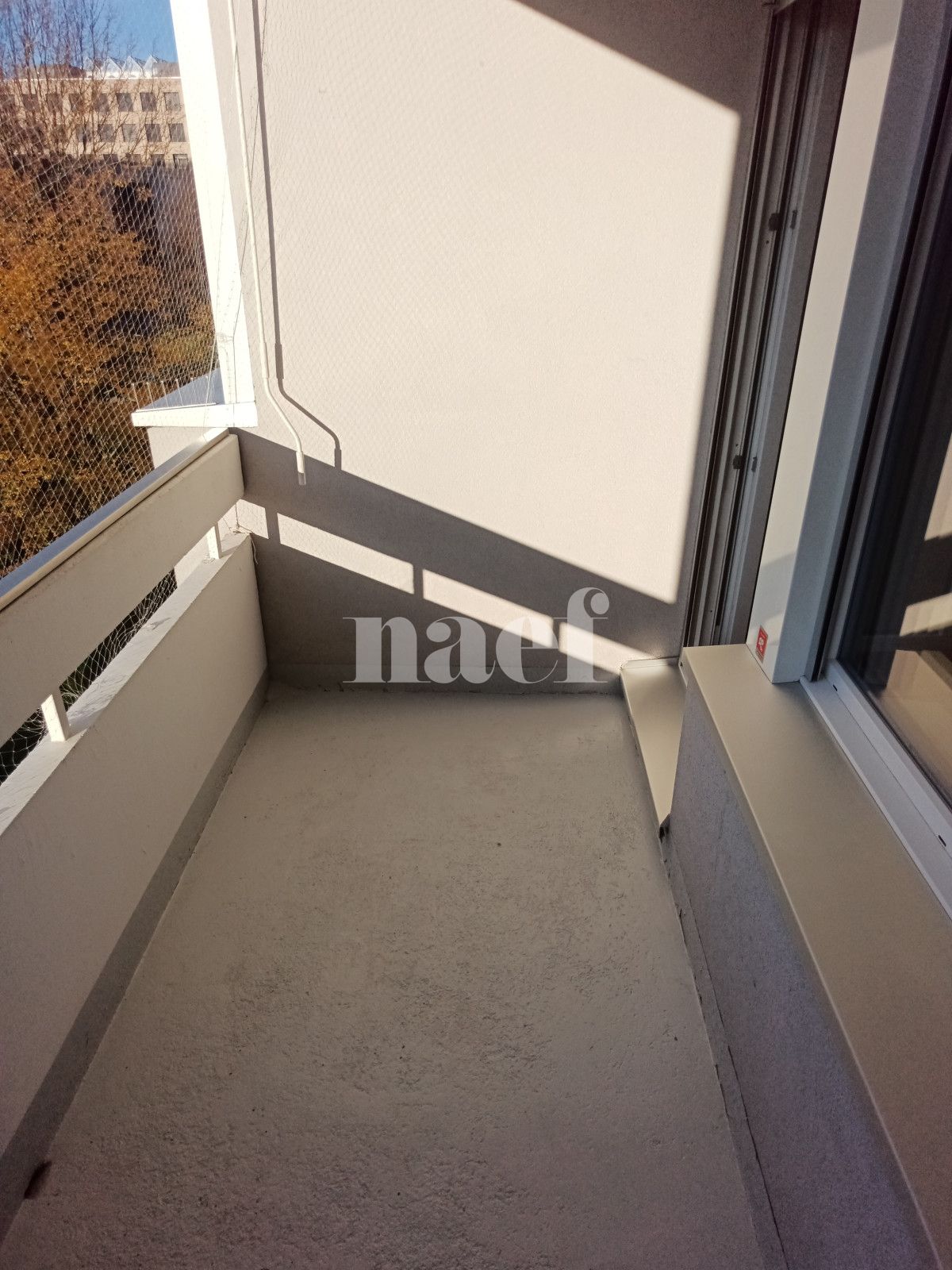 À louer : Appartement 5 Pieces Genève - Ref : 269051.3034 | Naef Immobilier