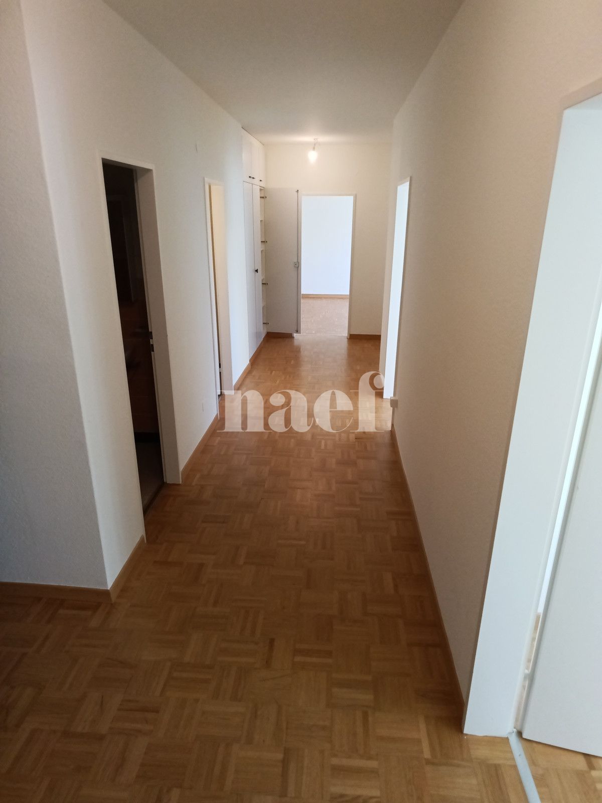 À louer : Appartement 5 Pieces Genève - Ref : 269051.3034 | Naef Immobilier