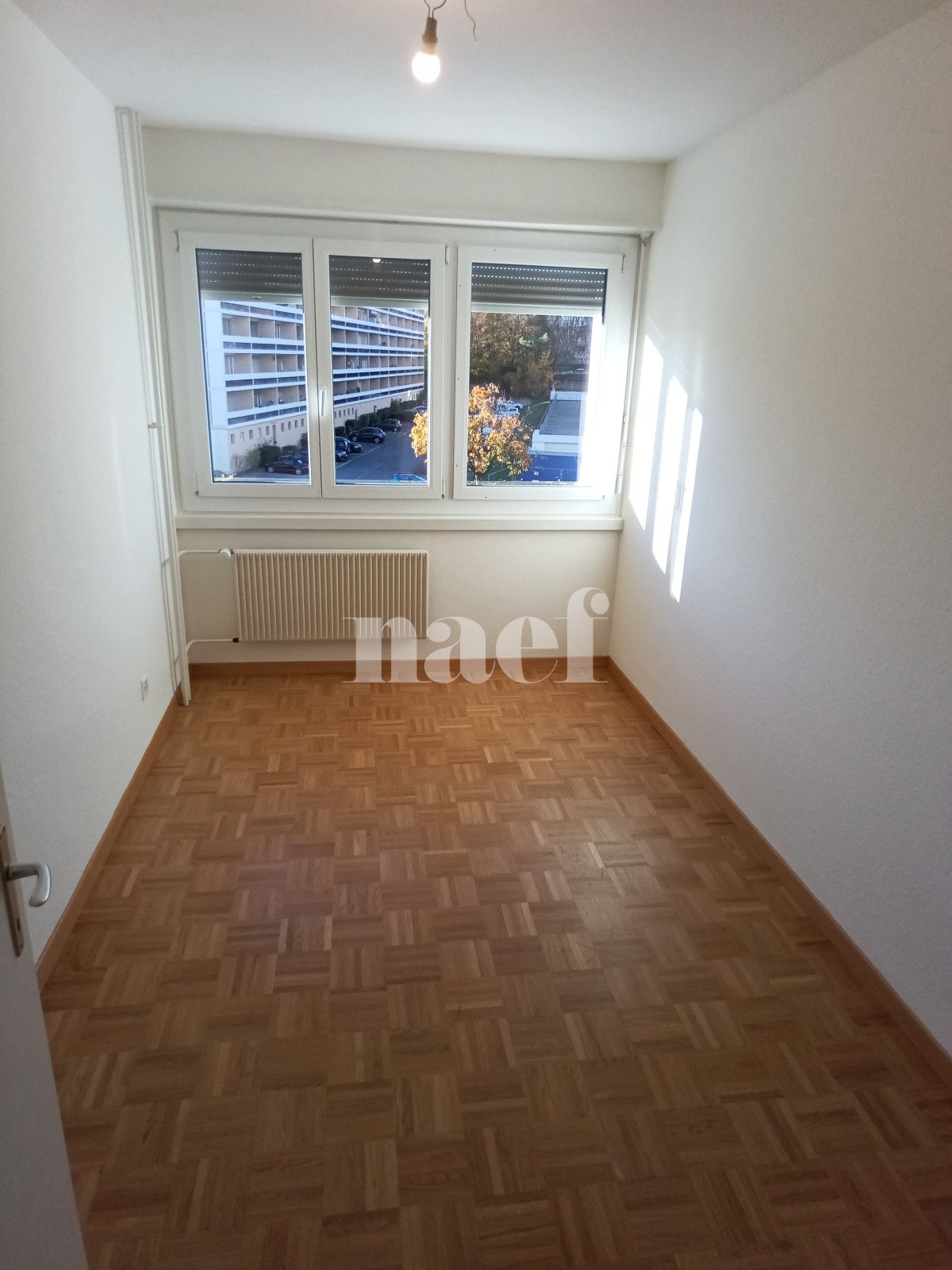 À louer : Appartement 5 Pieces Genève - Ref : 269051.3034 | Naef Immobilier