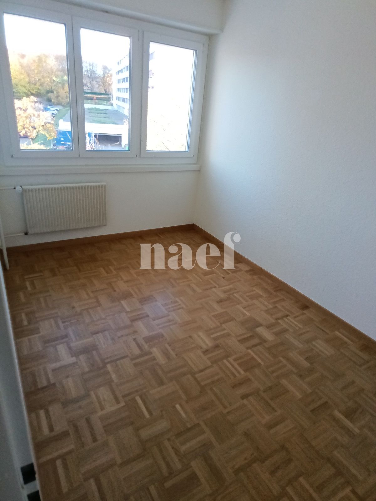 À louer : Appartement 5 Pieces Genève - Ref : 269051.3034 | Naef Immobilier