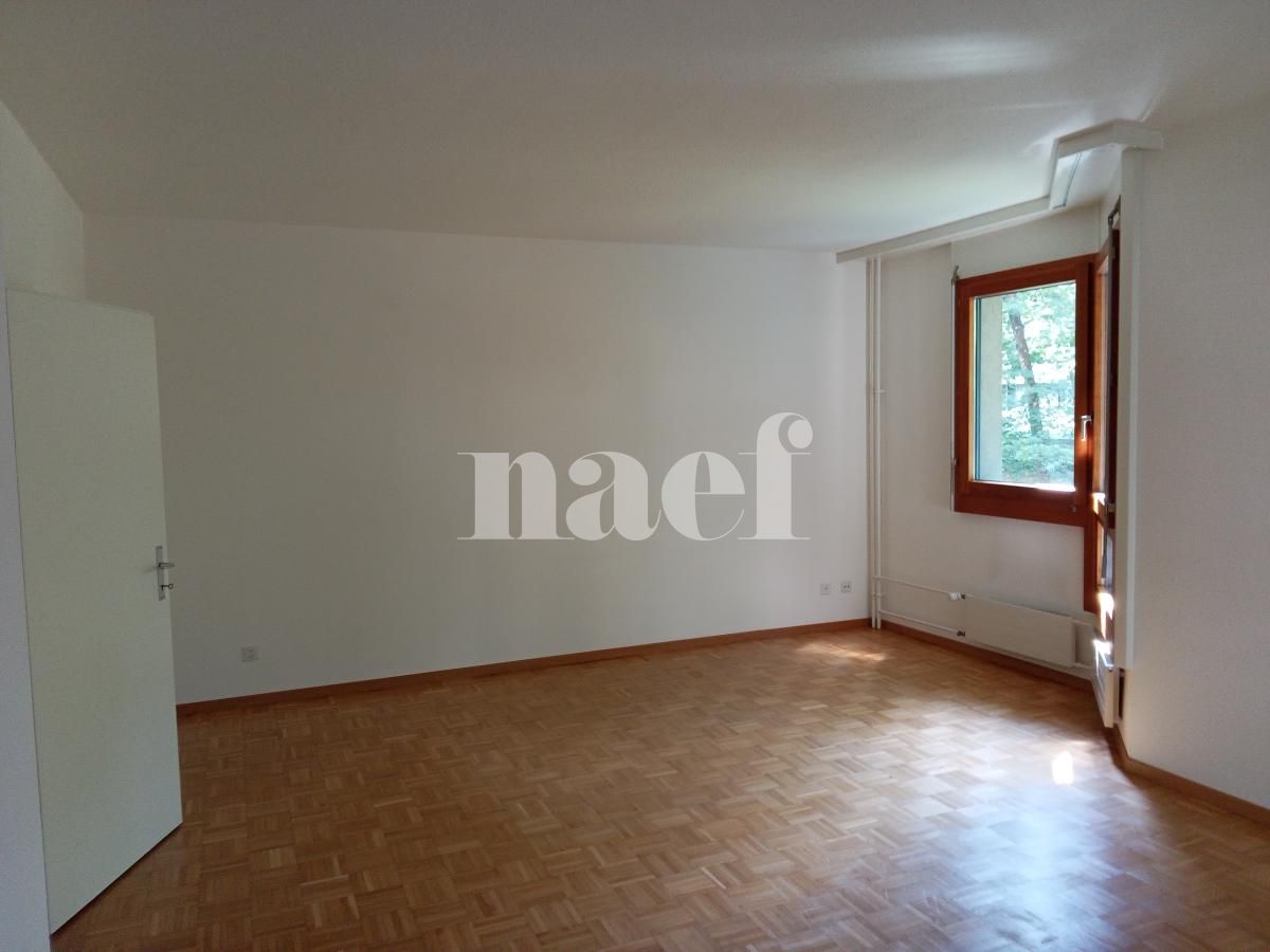 À louer : Appartement 4 Pieces Genève - Ref : 269060.4 | Naef Immobilier