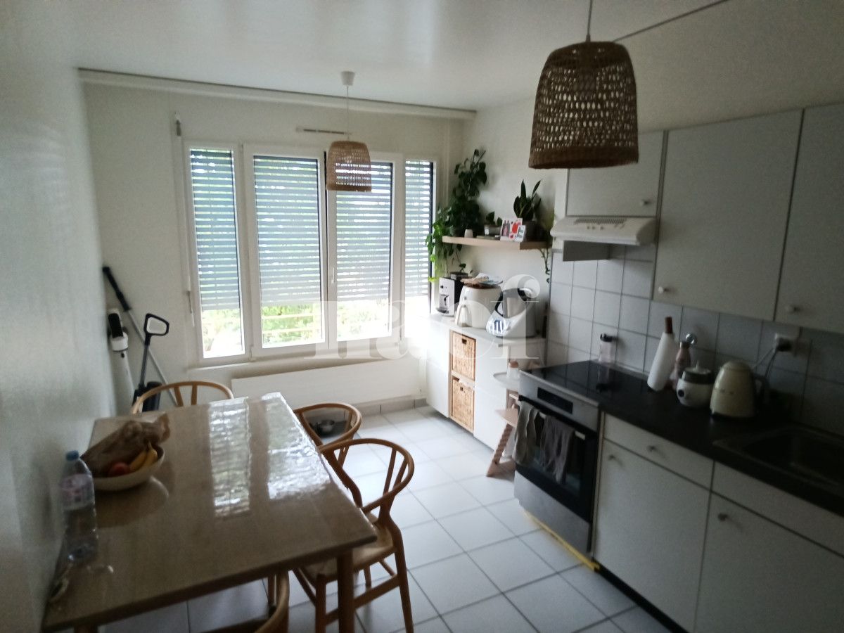 À louer : Appartement 4 Pieces Plan-les-Ouates - Ref : 269080.3 | Naef Immobilier