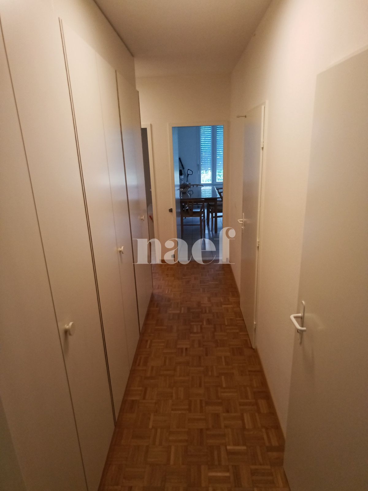 À louer : Appartement 4 Pieces Plan-les-Ouates - Ref : 269080.3 | Naef Immobilier