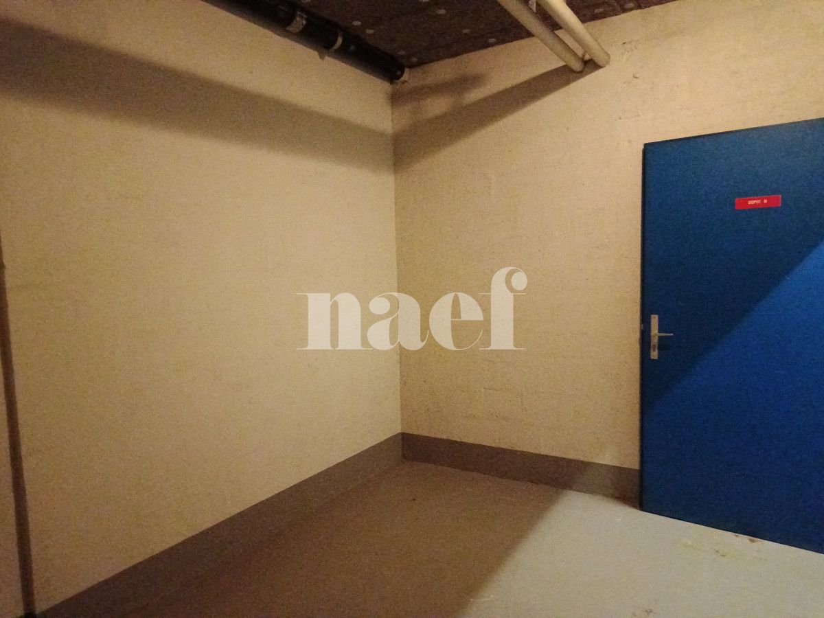 À louer : Dépôt Genève - Ref : 269161.51101 | Naef Immobilier