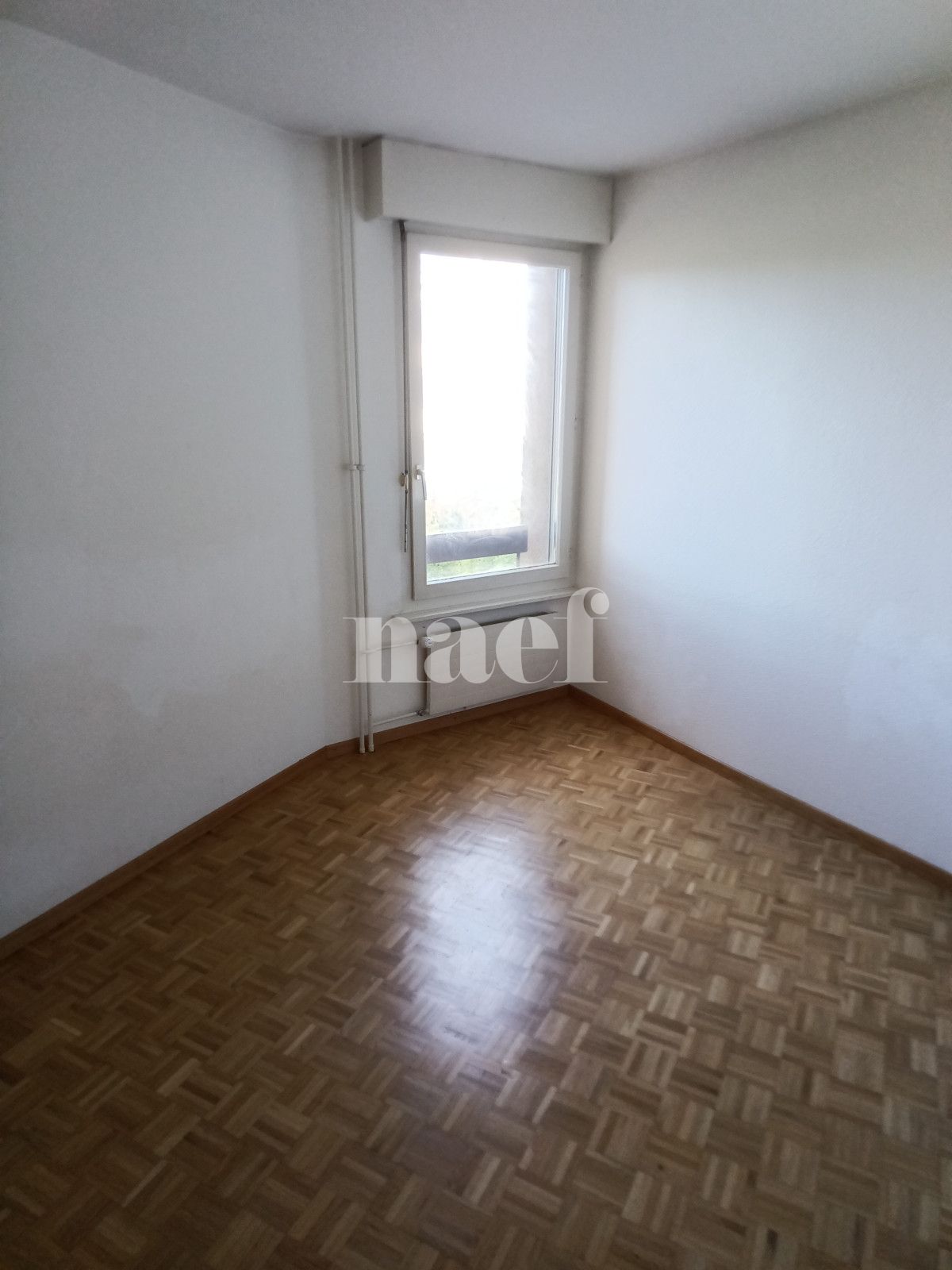 À louer : Appartement 4 Pieces Thônex - Ref : 269185.4045 | Naef Immobilier