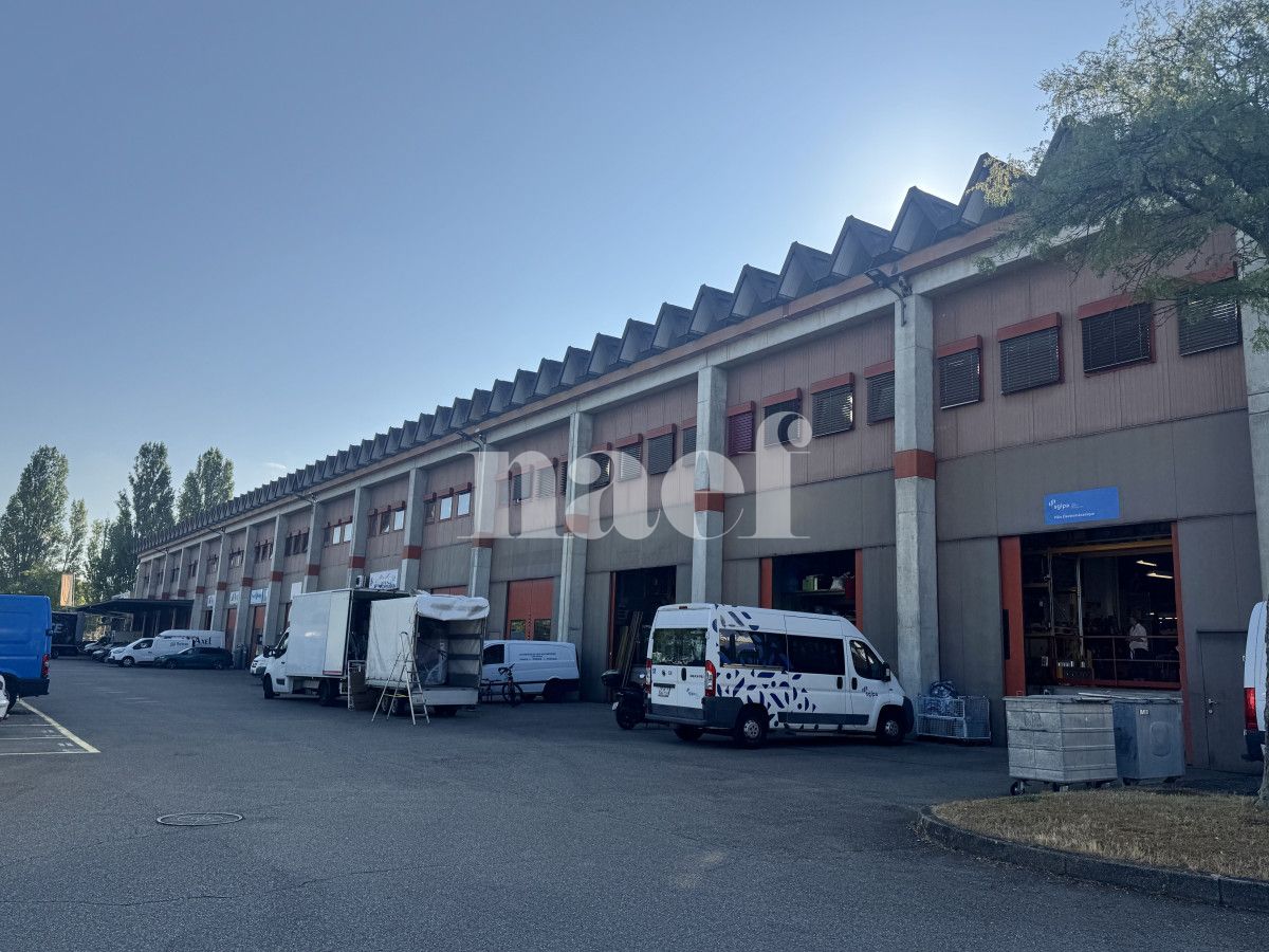 À louer : Dépôt Meyrin - Ref : 269190.100 | Naef Immobilier