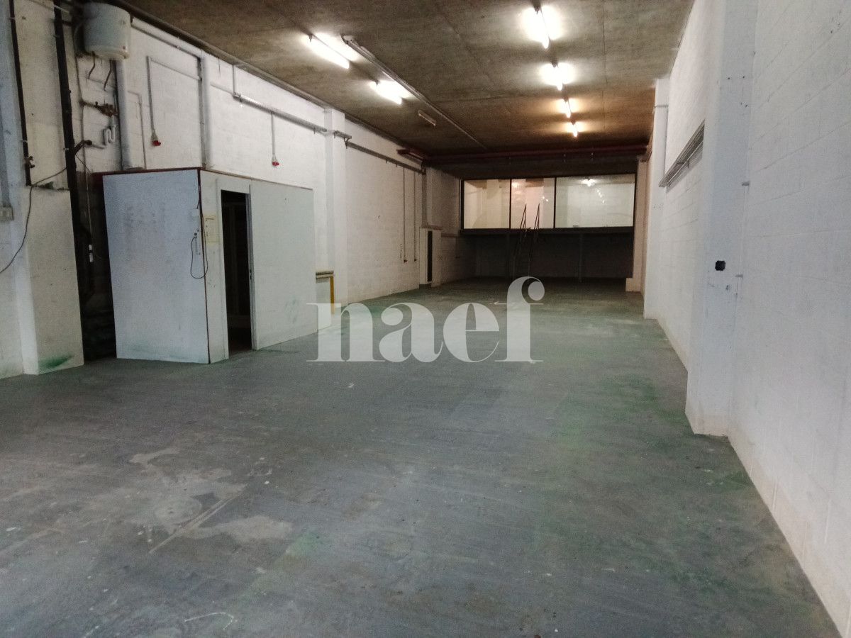 À louer : Dépôt Meyrin - Ref : 269190.100 | Naef Immobilier